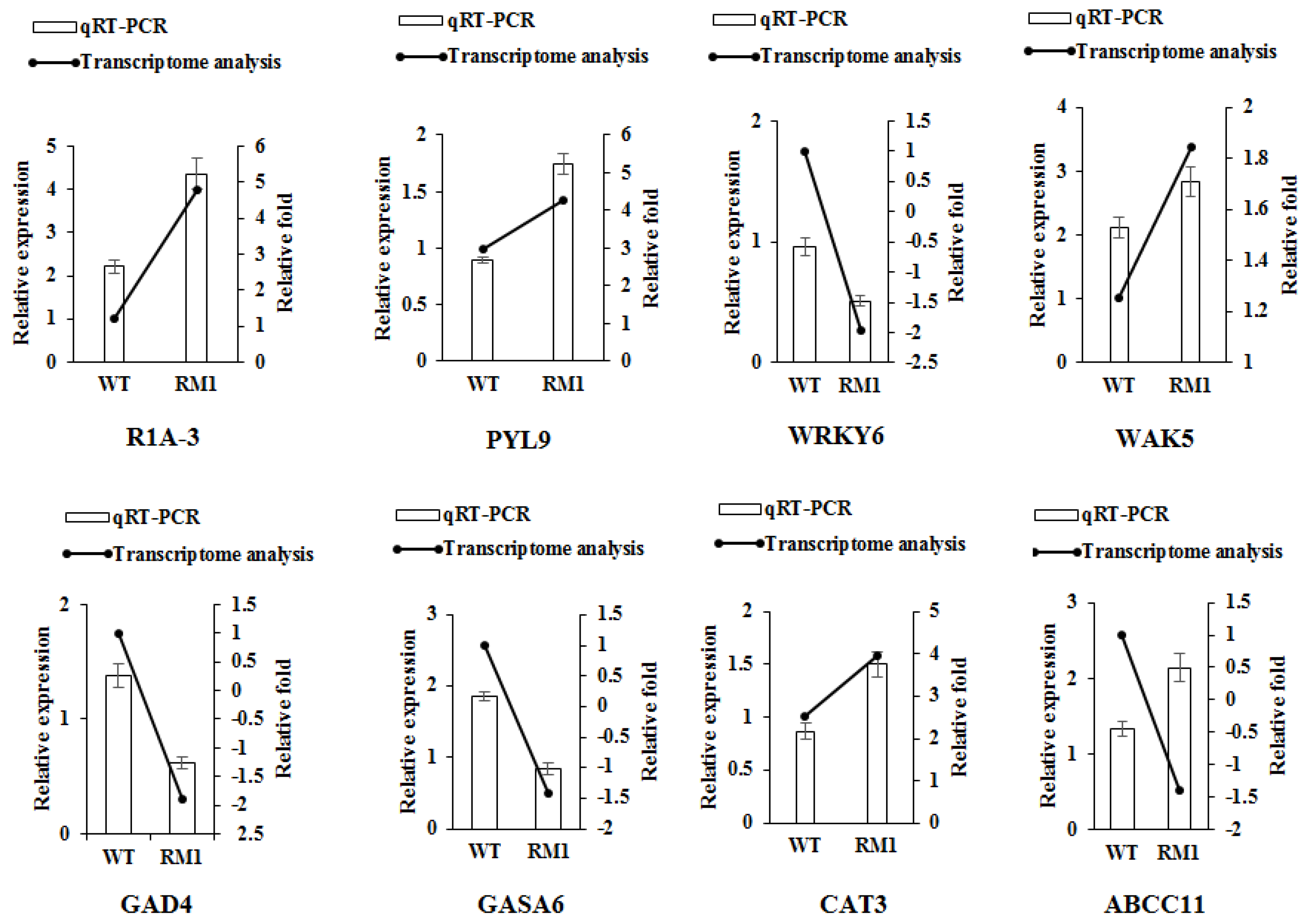 Agronomy 14 01547 g006