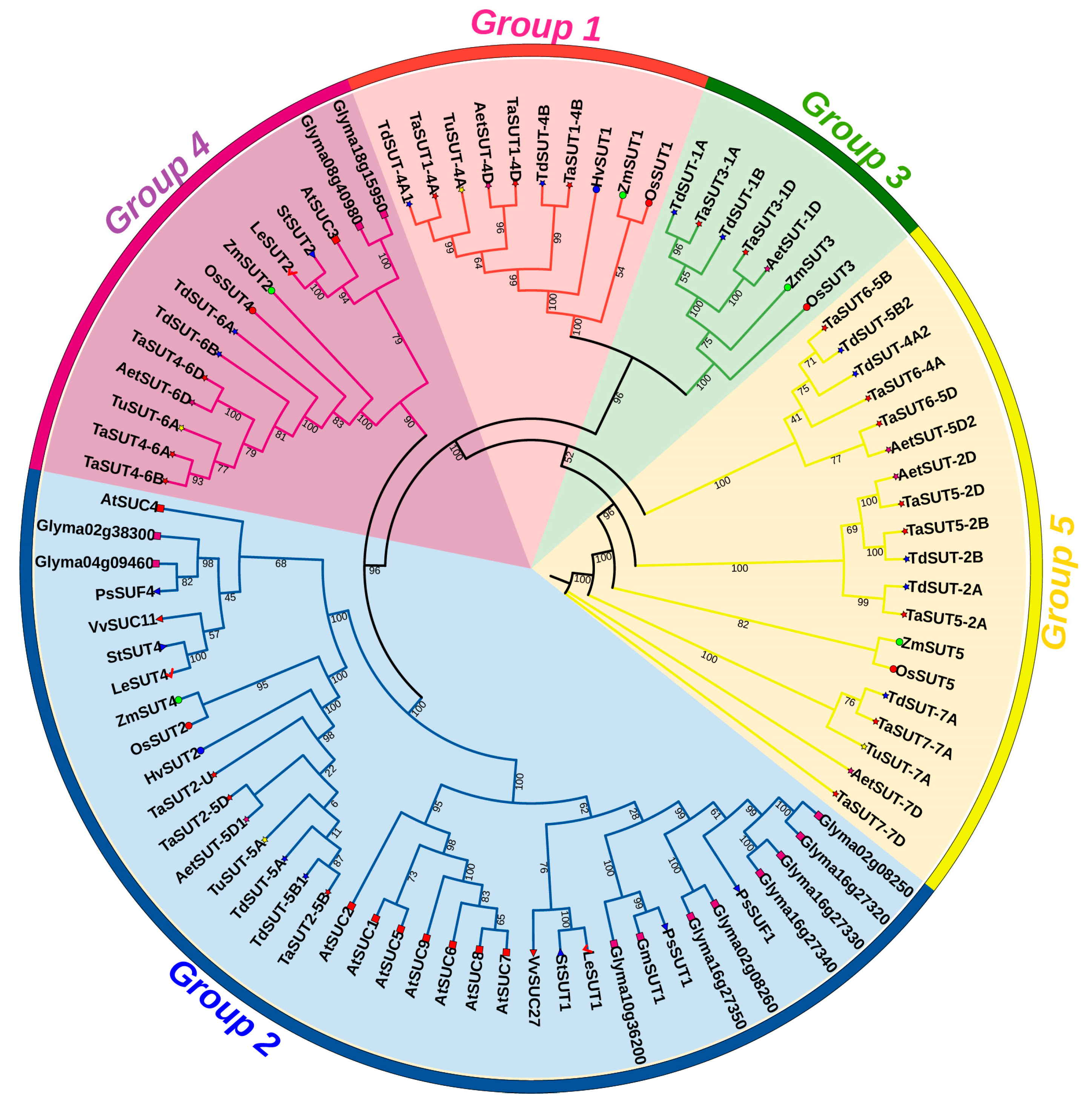 Agronomy 14 01549 g001