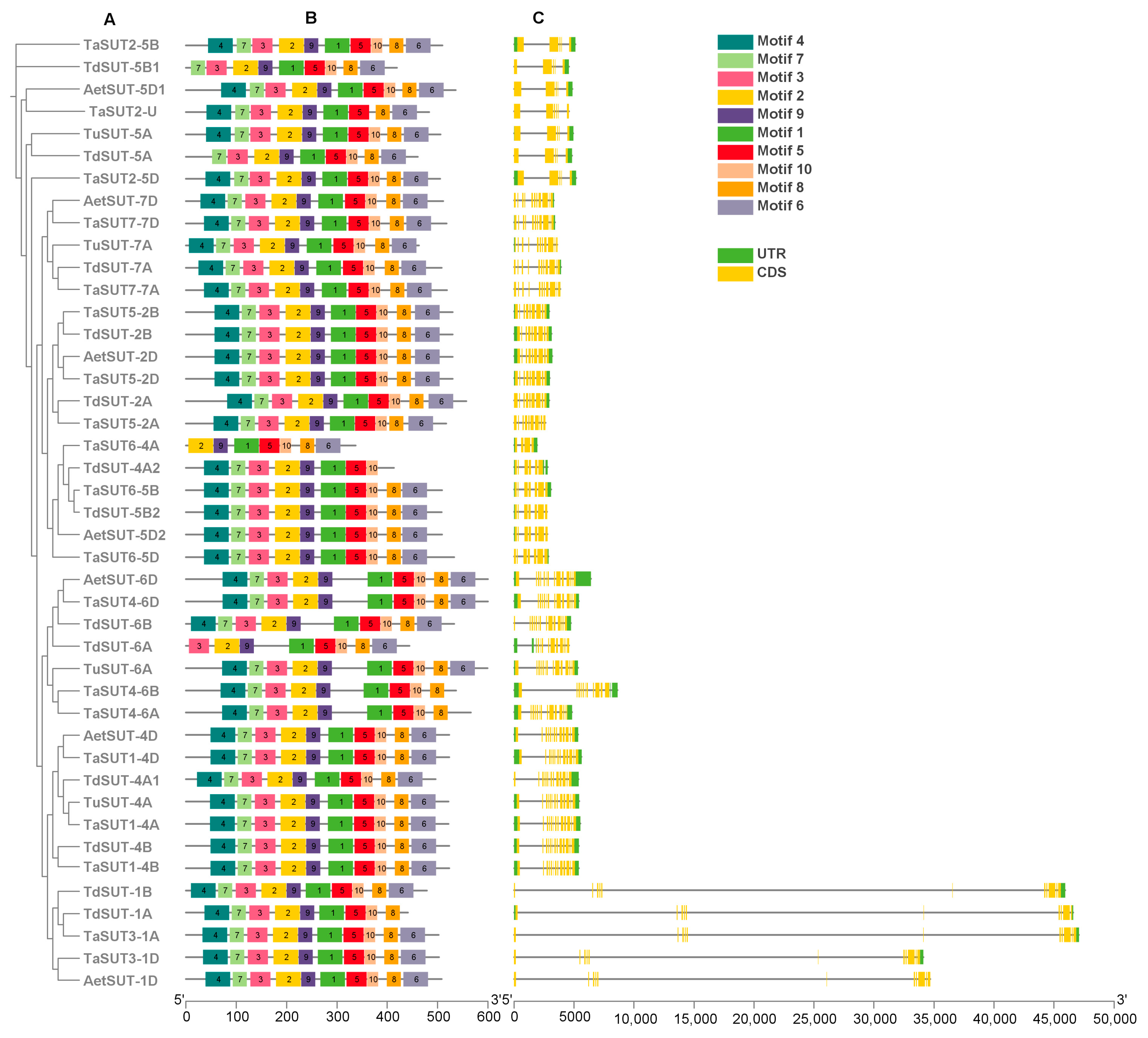 Agronomy 14 01549 g002