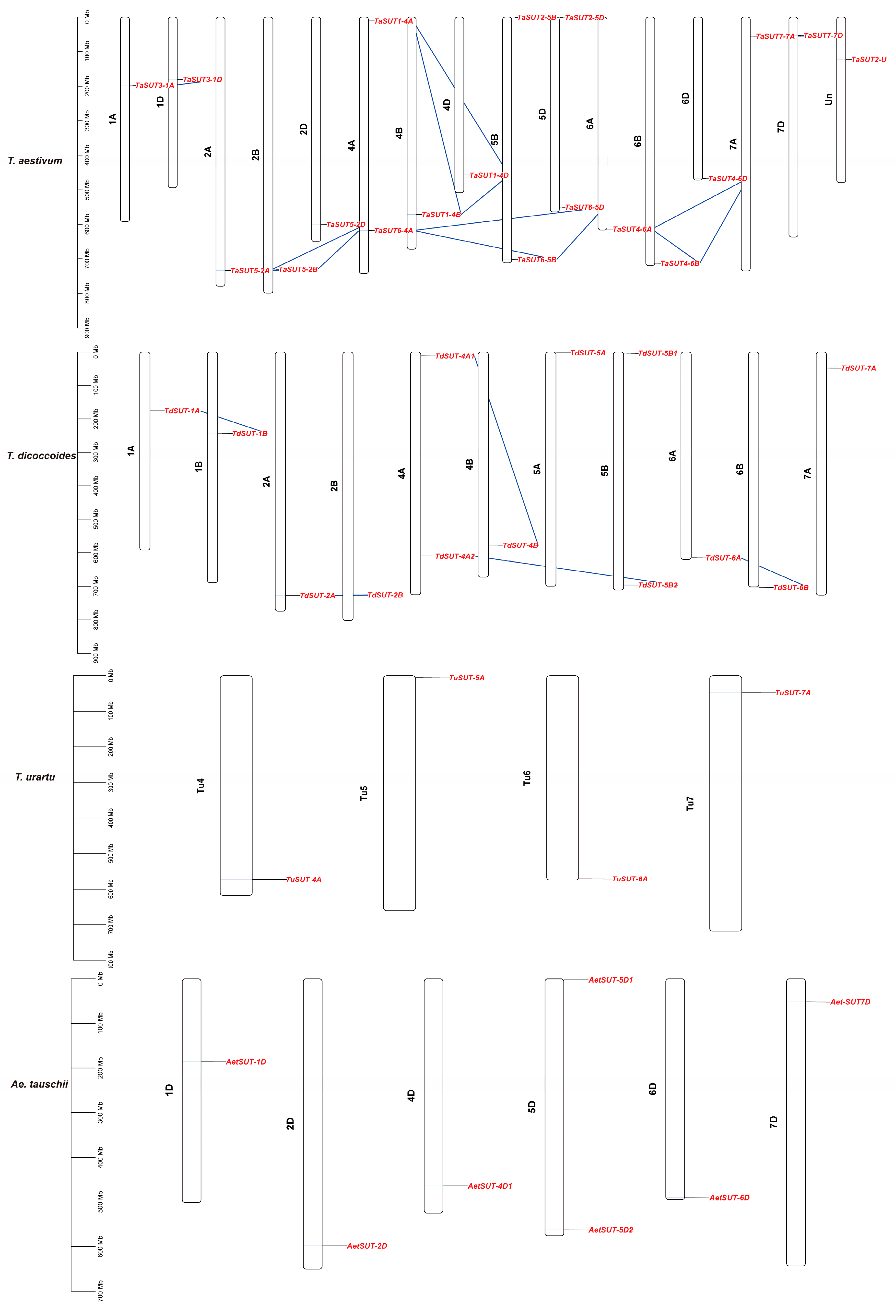 Agronomy 14 01549 g003