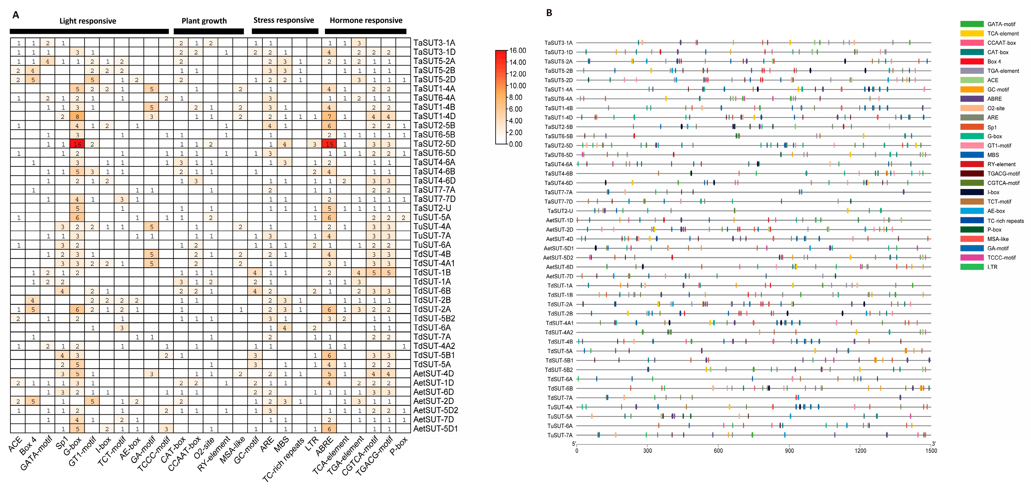 Agronomy 14 01549 g005
