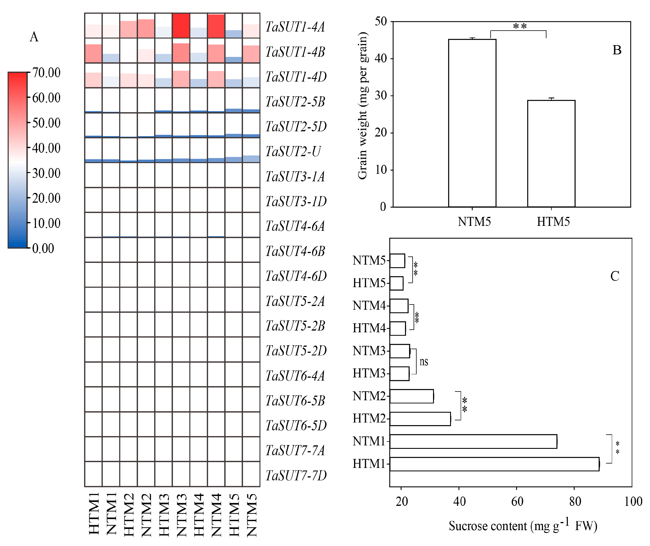 Agronomy 14 01549 g006