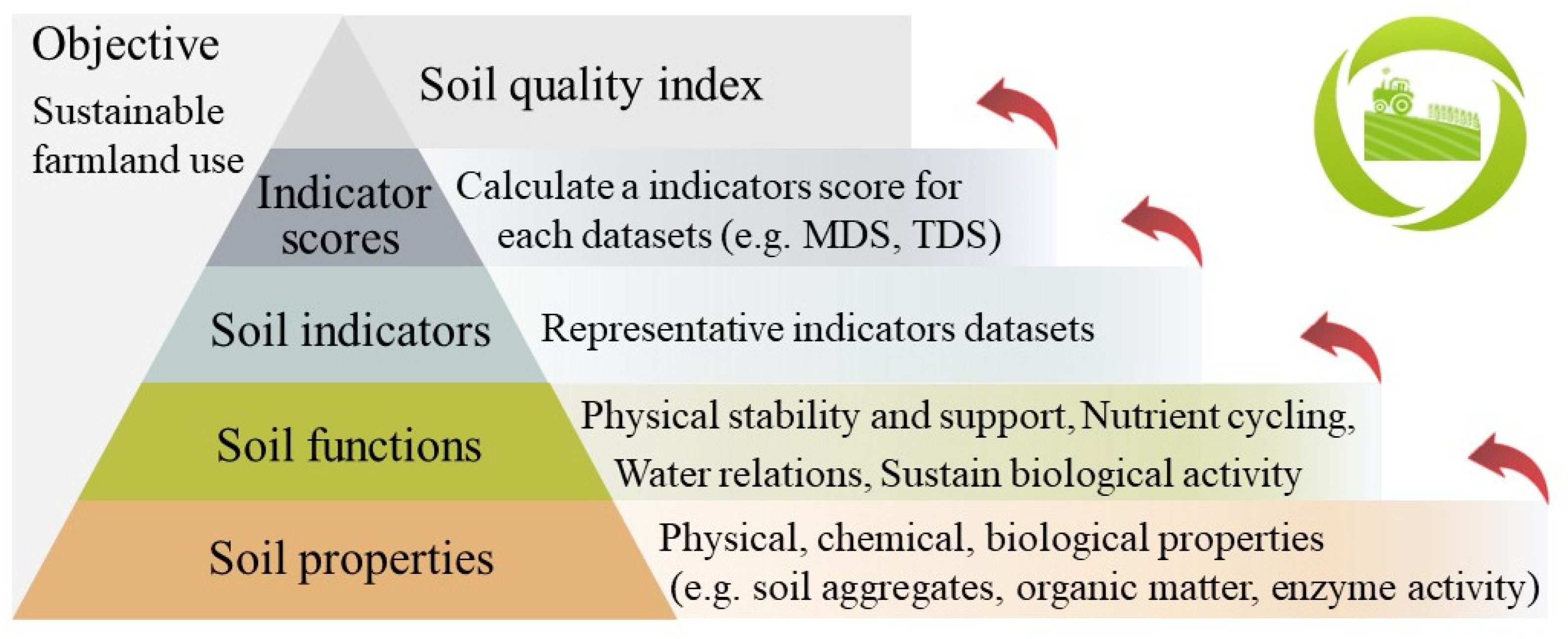 Agronomy 14 01552 g001