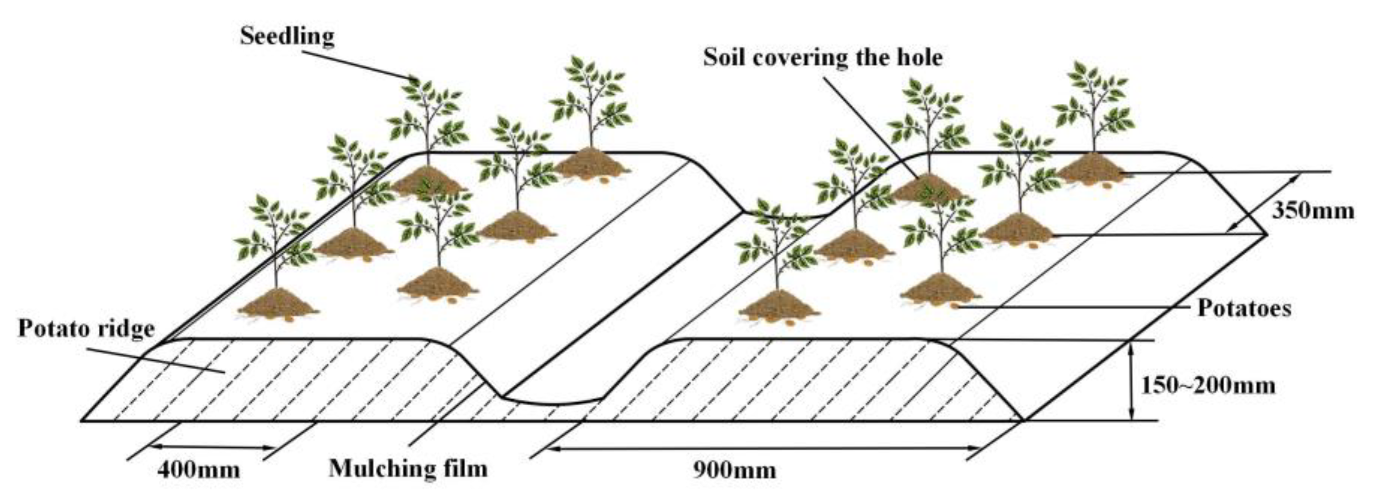 Agronomy 14 01570 g001 Agronomy 14 01570 g001