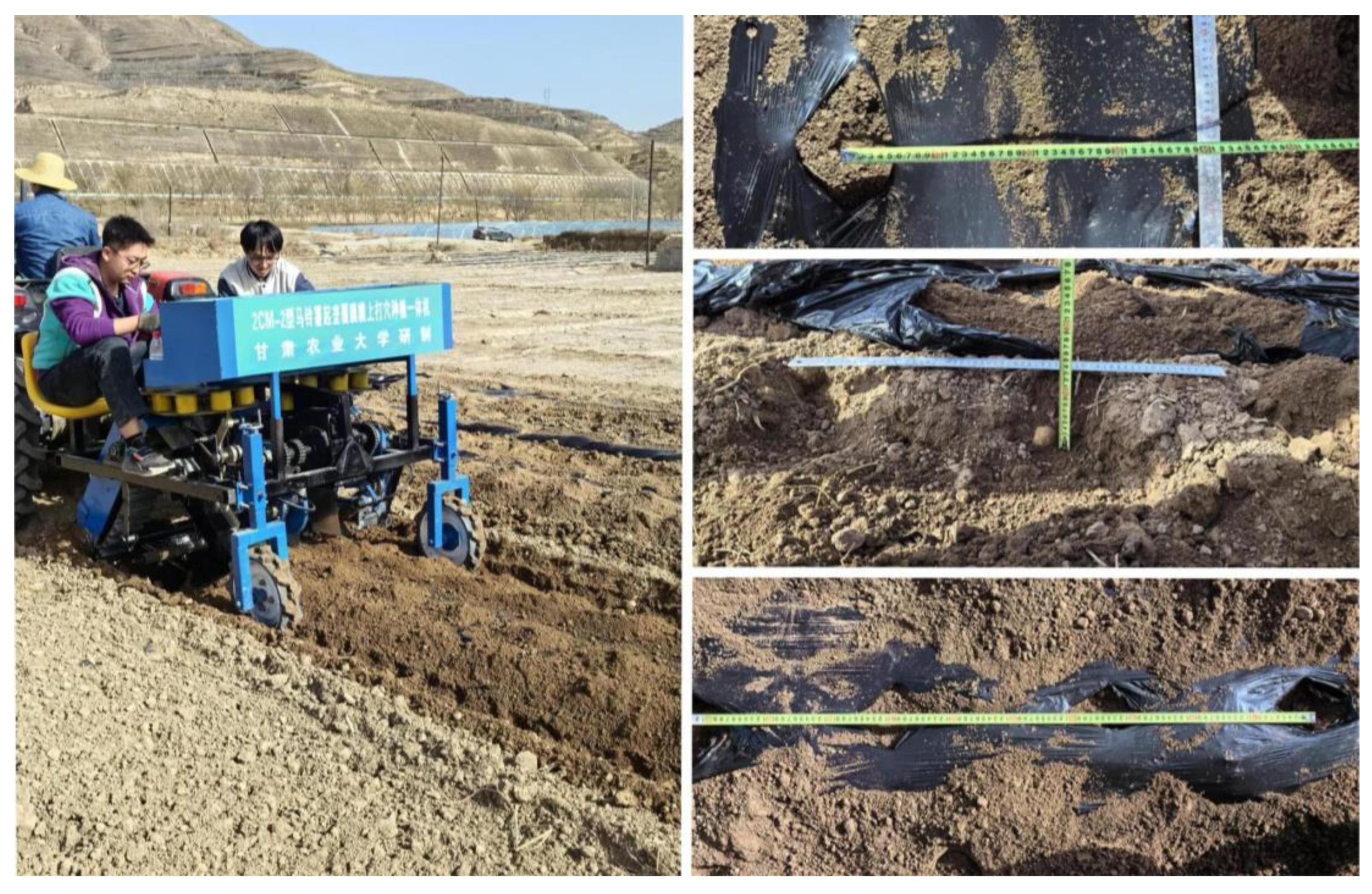 Agronomy 14 01570 g020 Agronomy 14 01570 g020