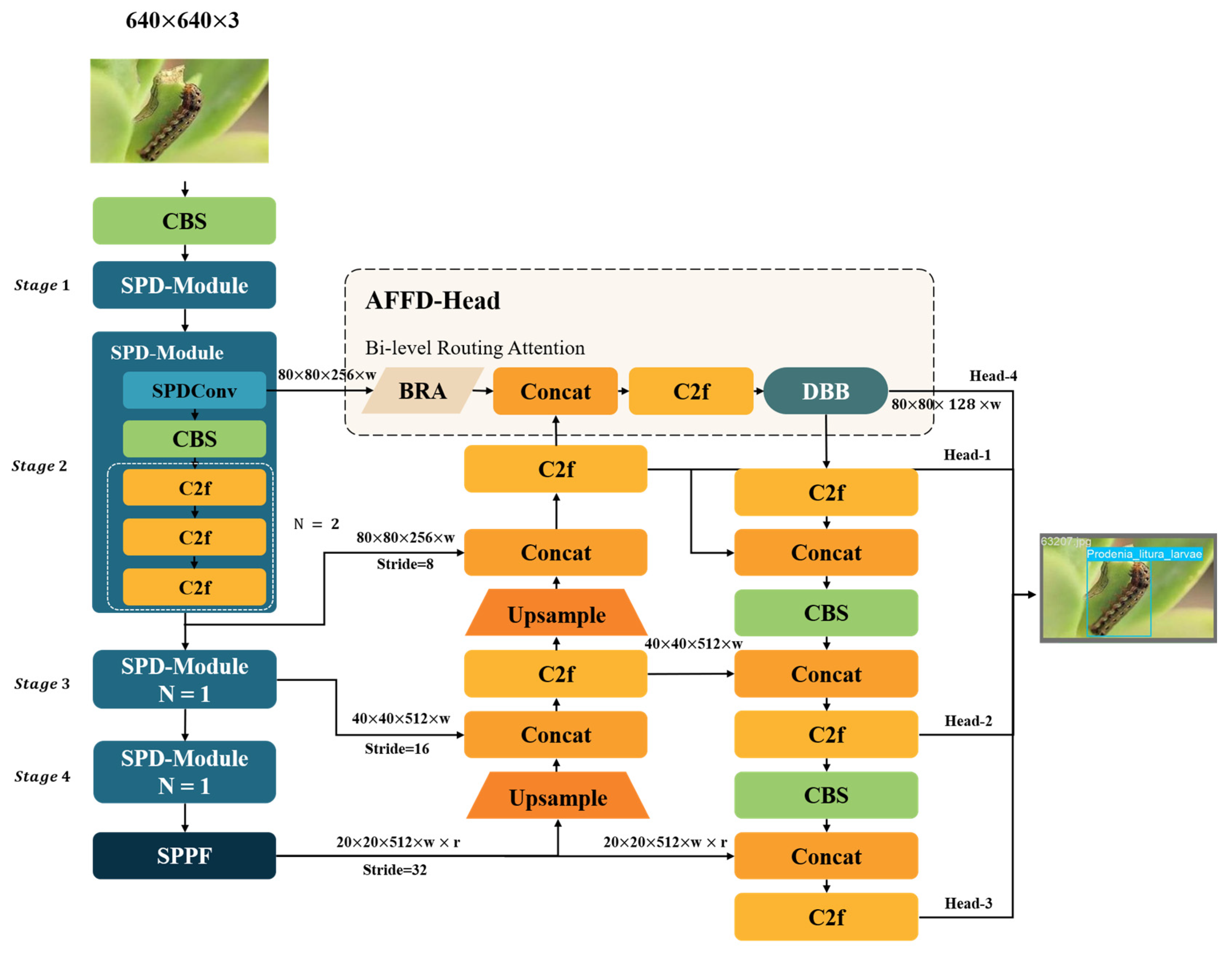 Agronomy 14 01571 g002