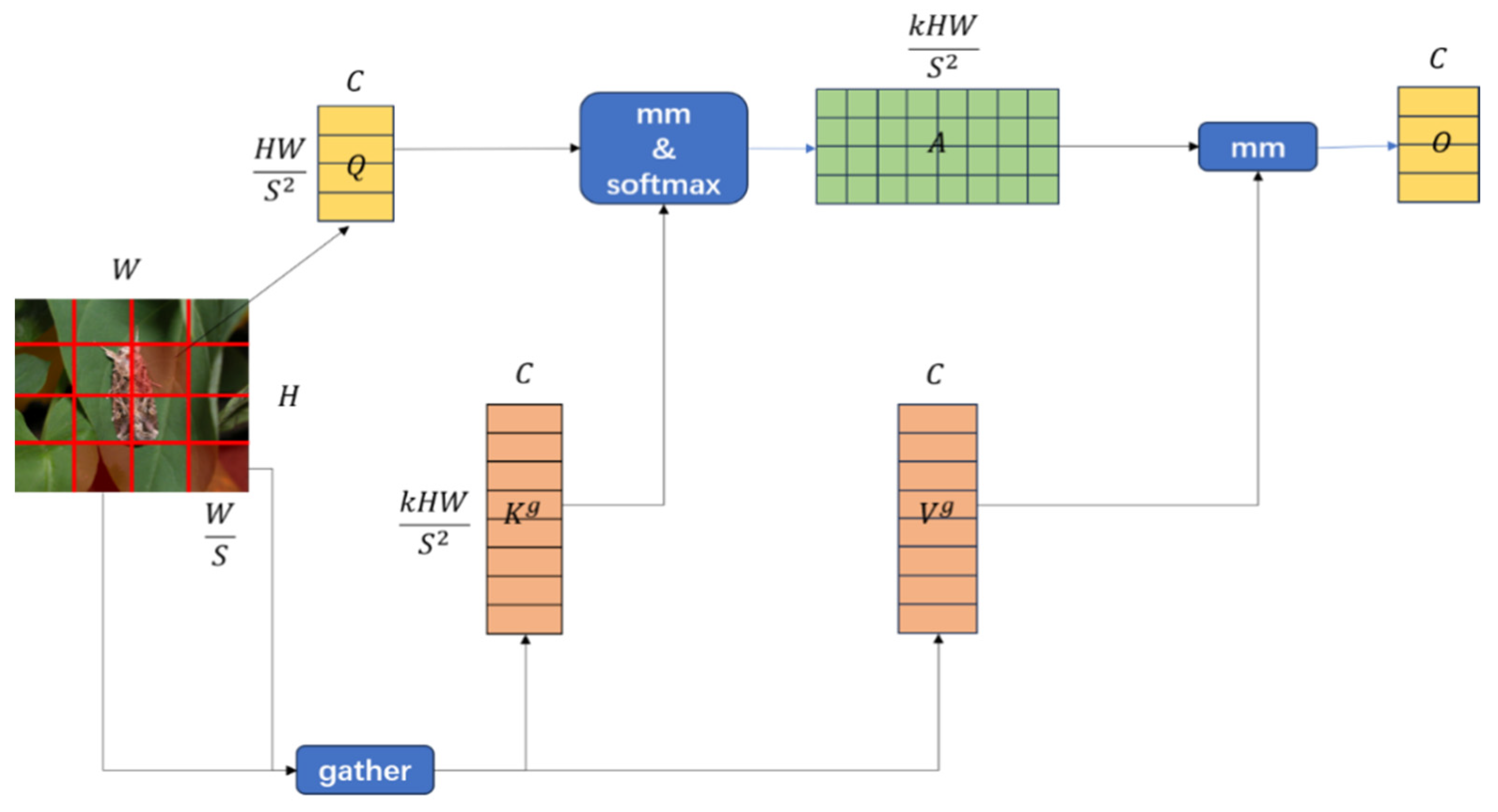 Agronomy 14 01571 g004