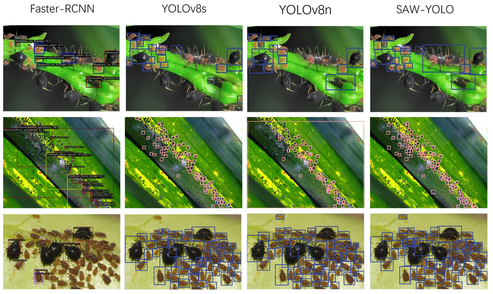 Agronomy 14 01571 g010