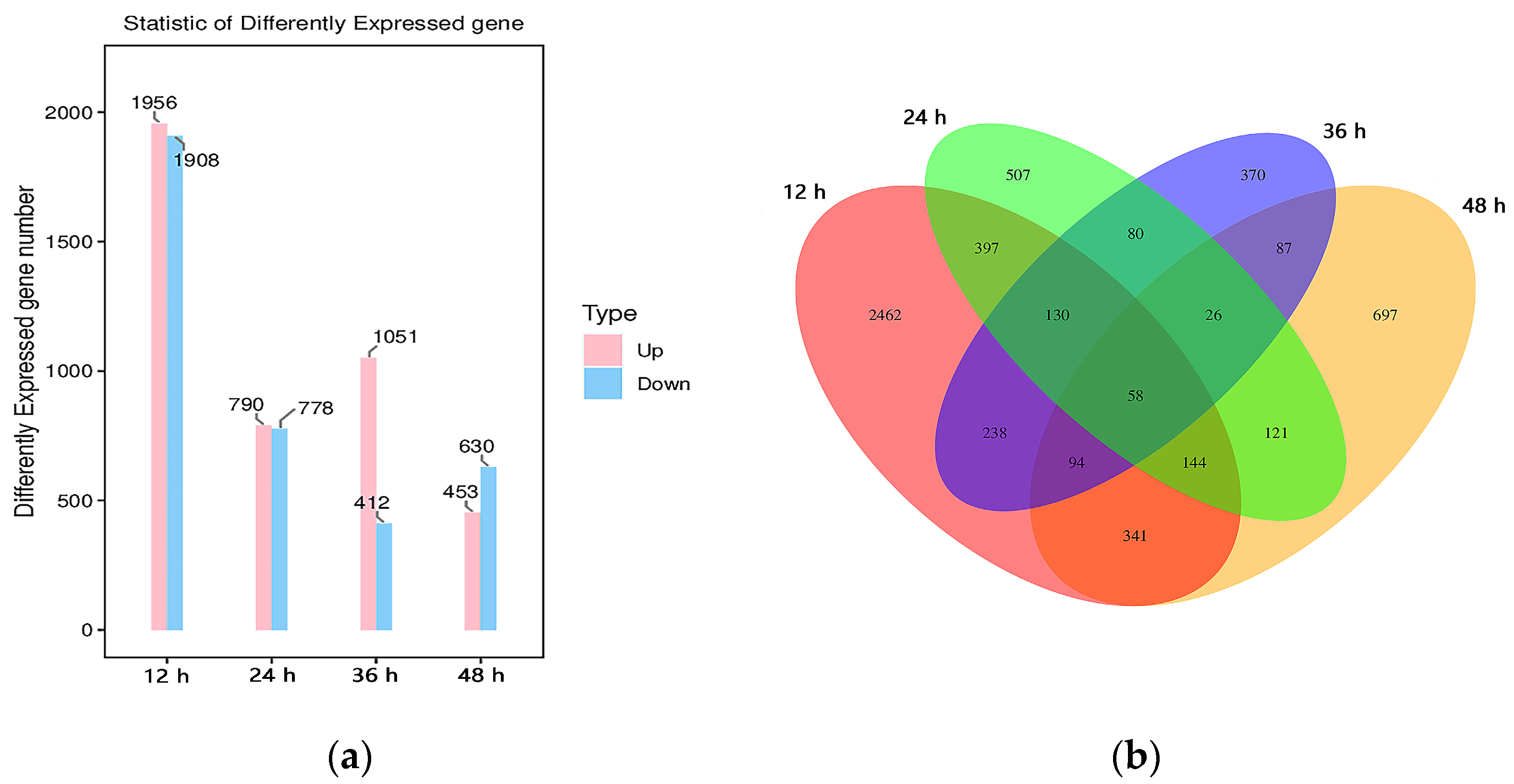 Agronomy 14 01572 g002 Agronomy 14 01572 g002