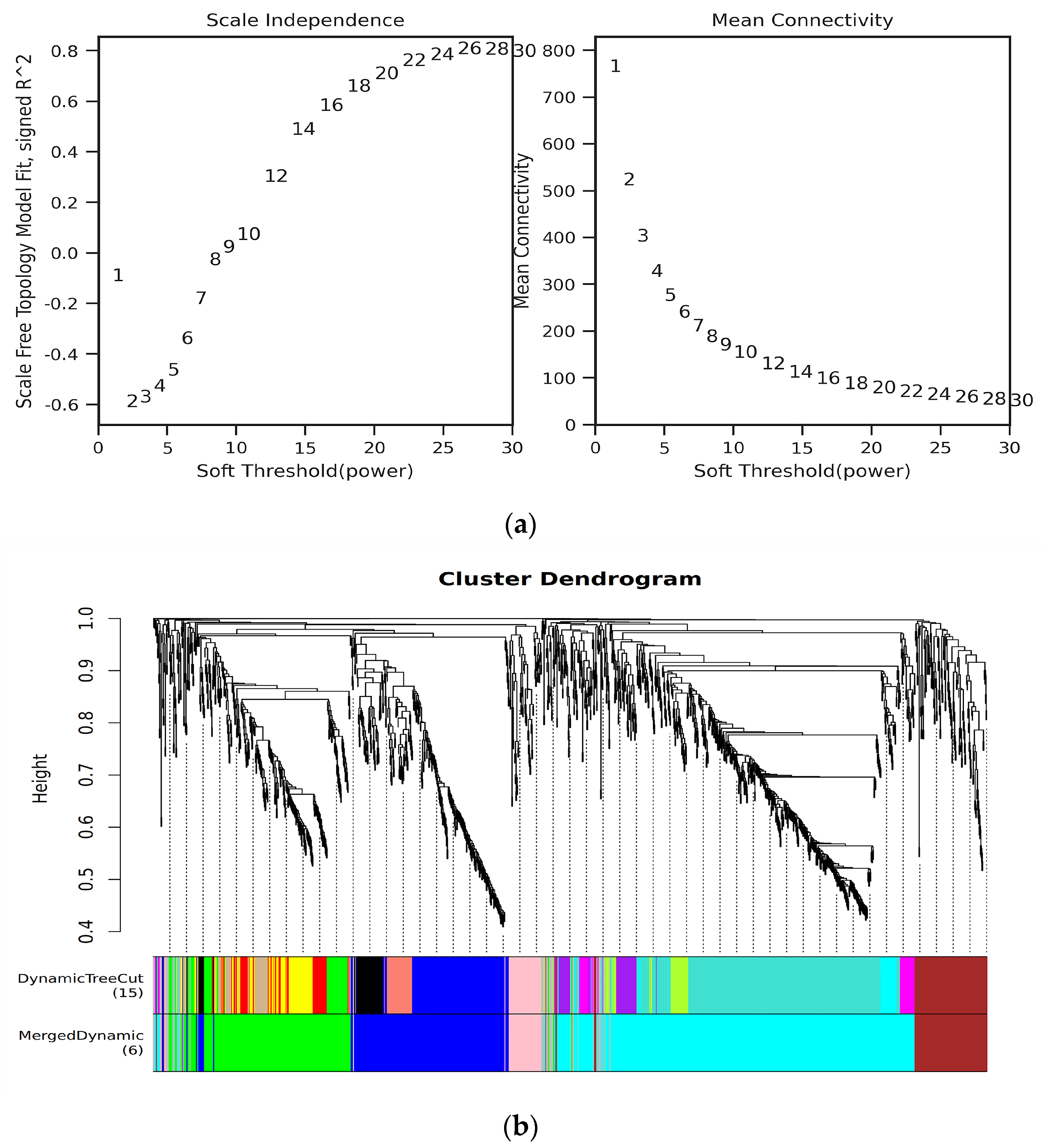Agronomy 14 01572 g005 Agronomy 14 01572 g005