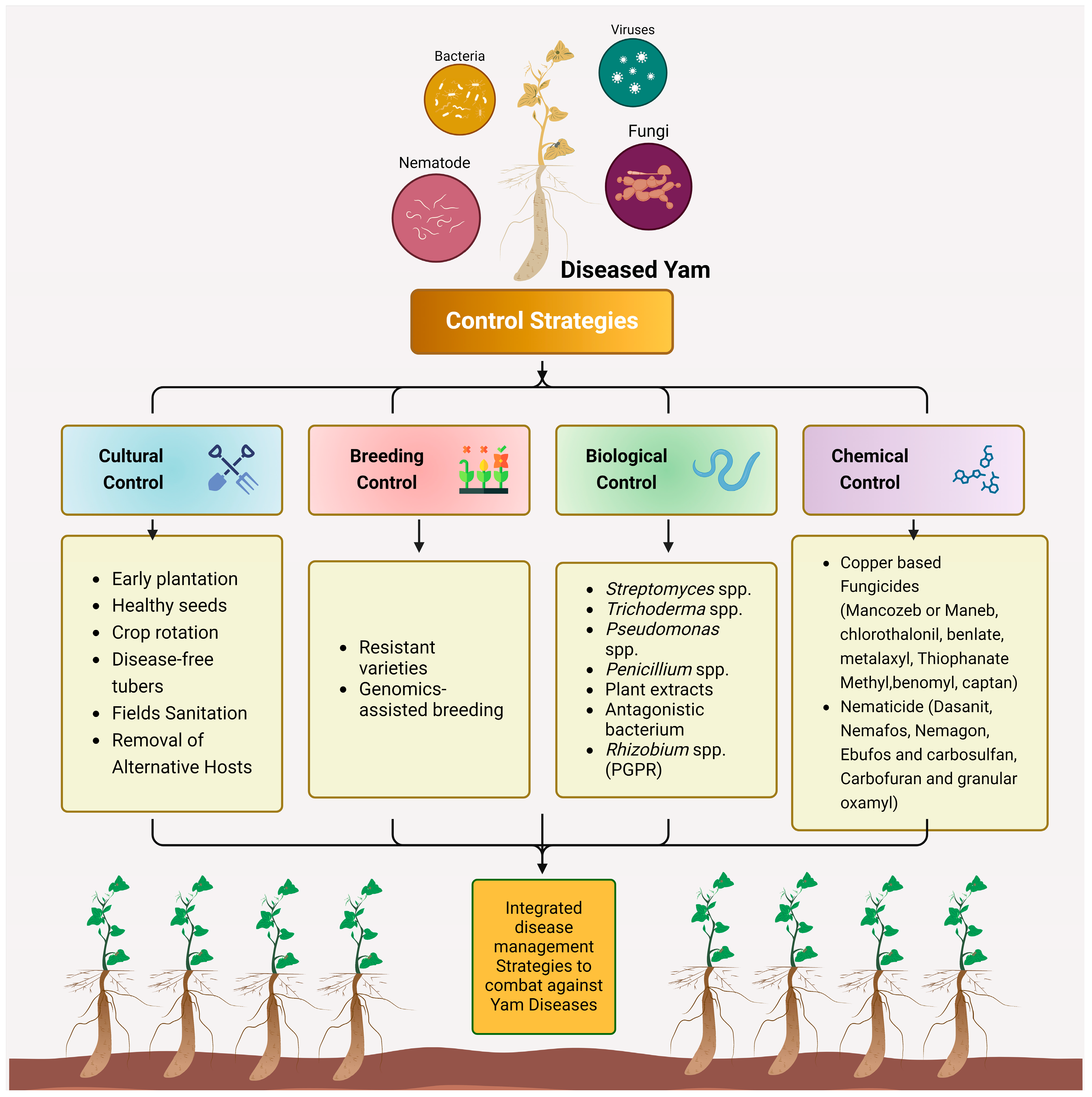 Agronomy 14 01575 g004 Agronomy 14 01575 g004