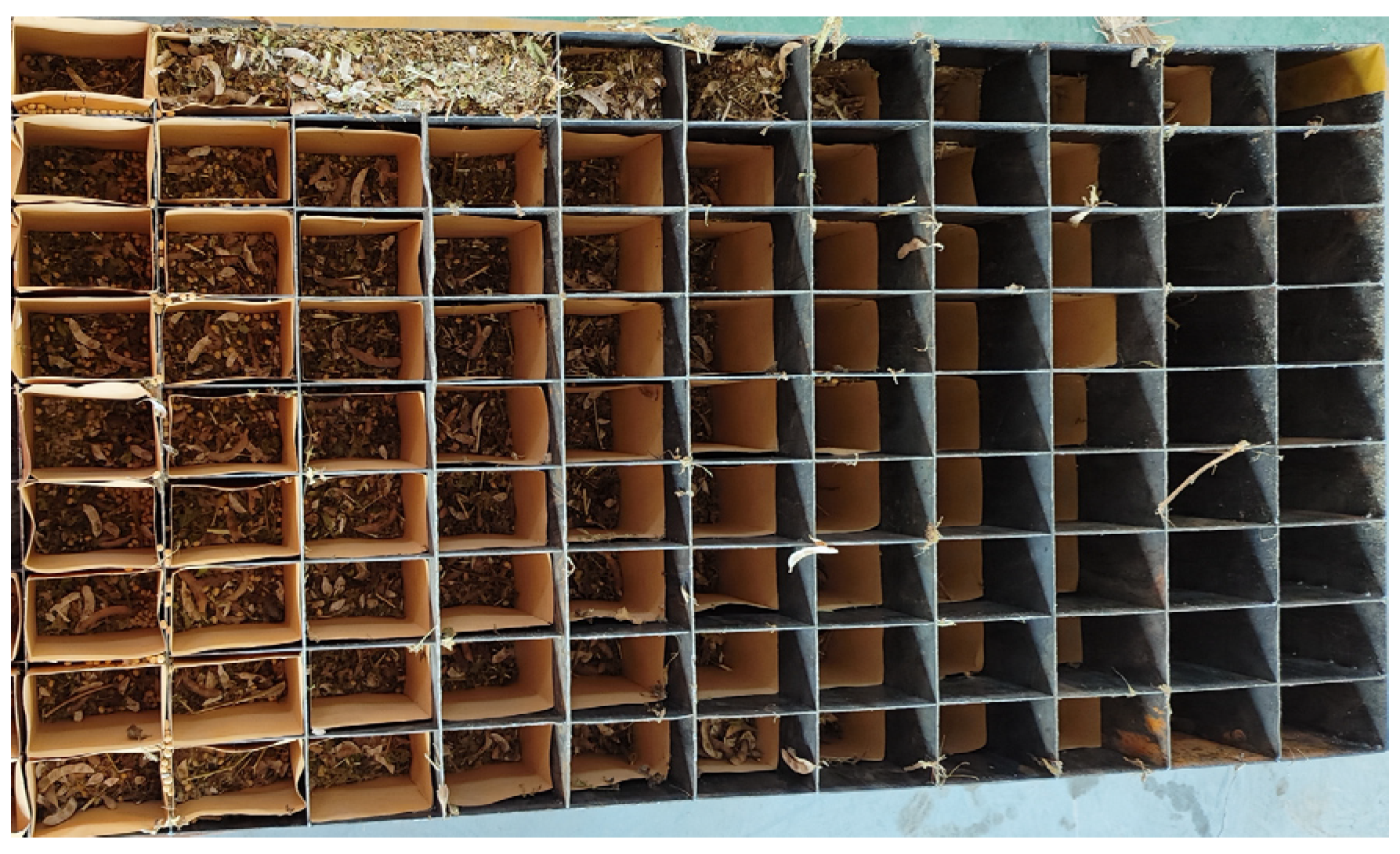 Agronomy 14 01581 g006