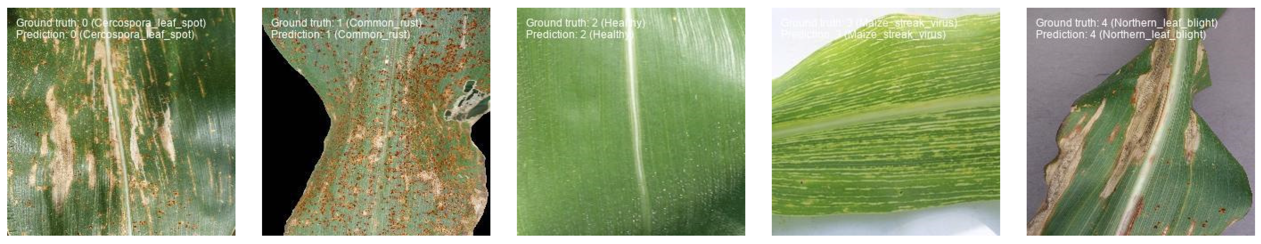 Agronomy 14 01587 g012