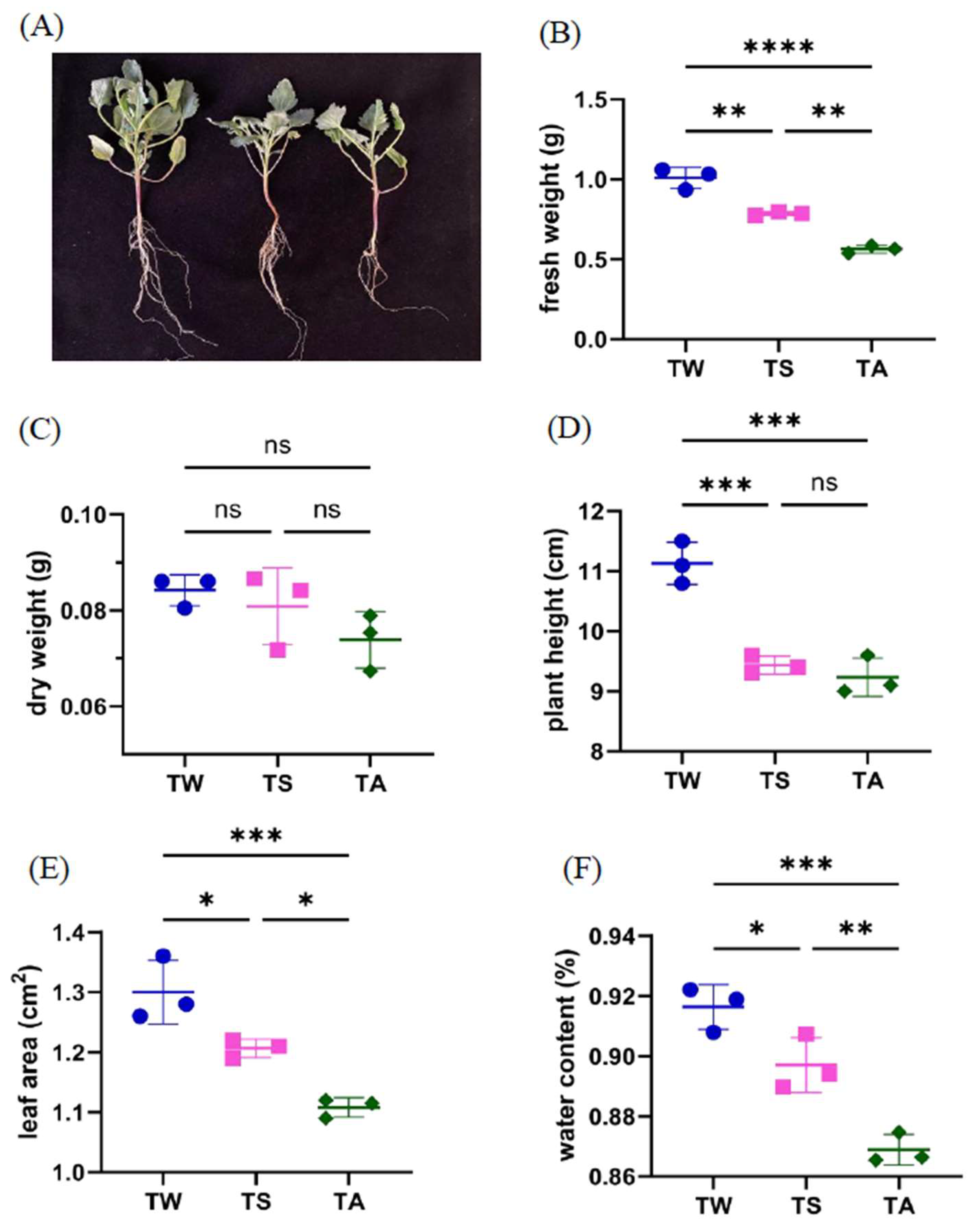 Agronomy 14 01596 g001