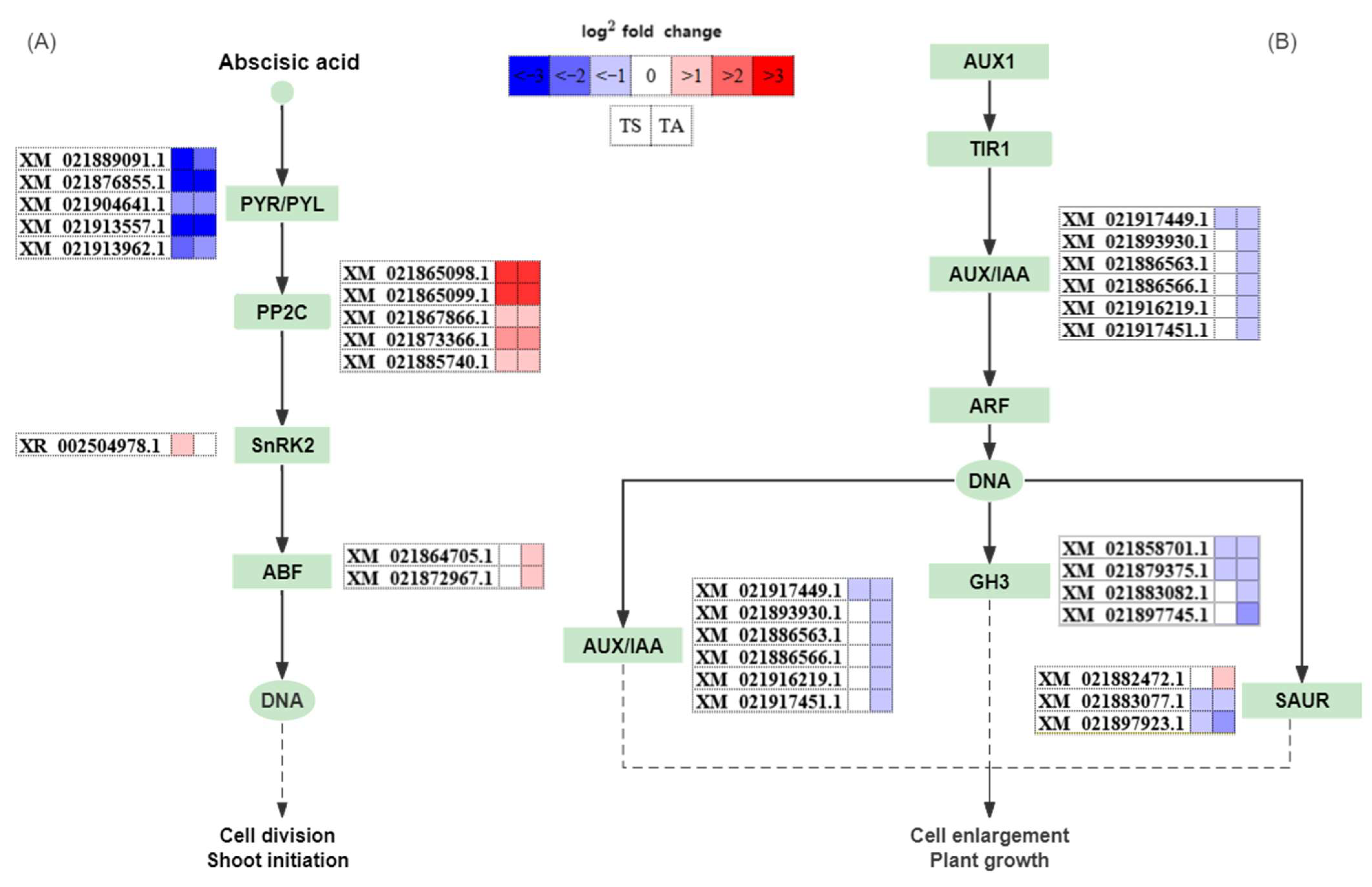 Agronomy 14 01596 g010