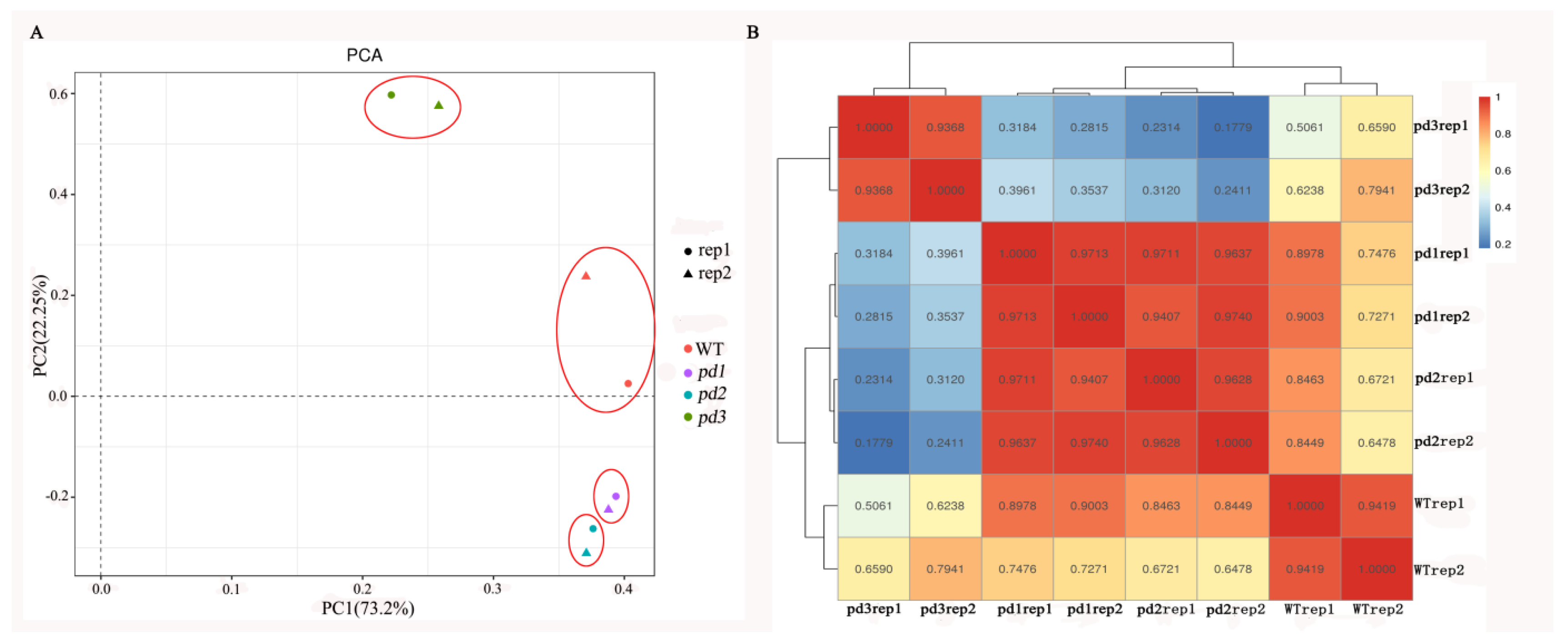 Agronomy 14 01598 g002
