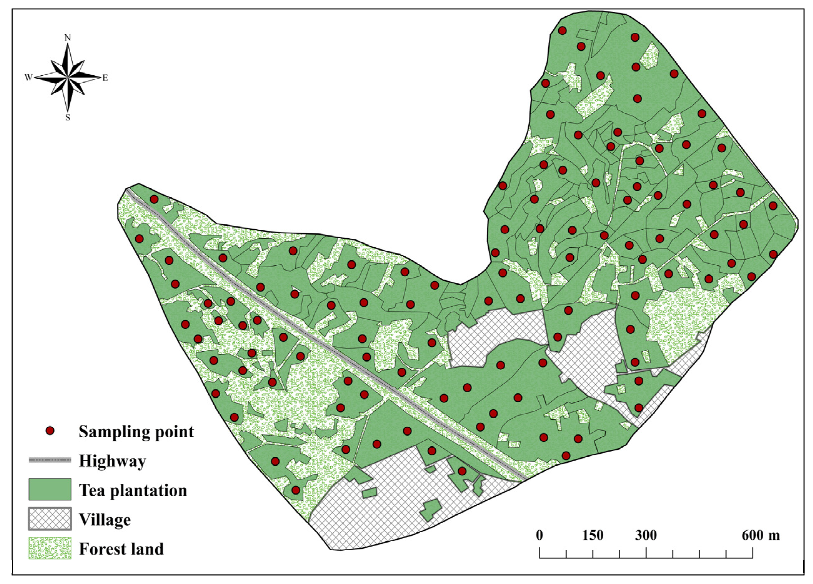 Agronomy 14 01599 g001