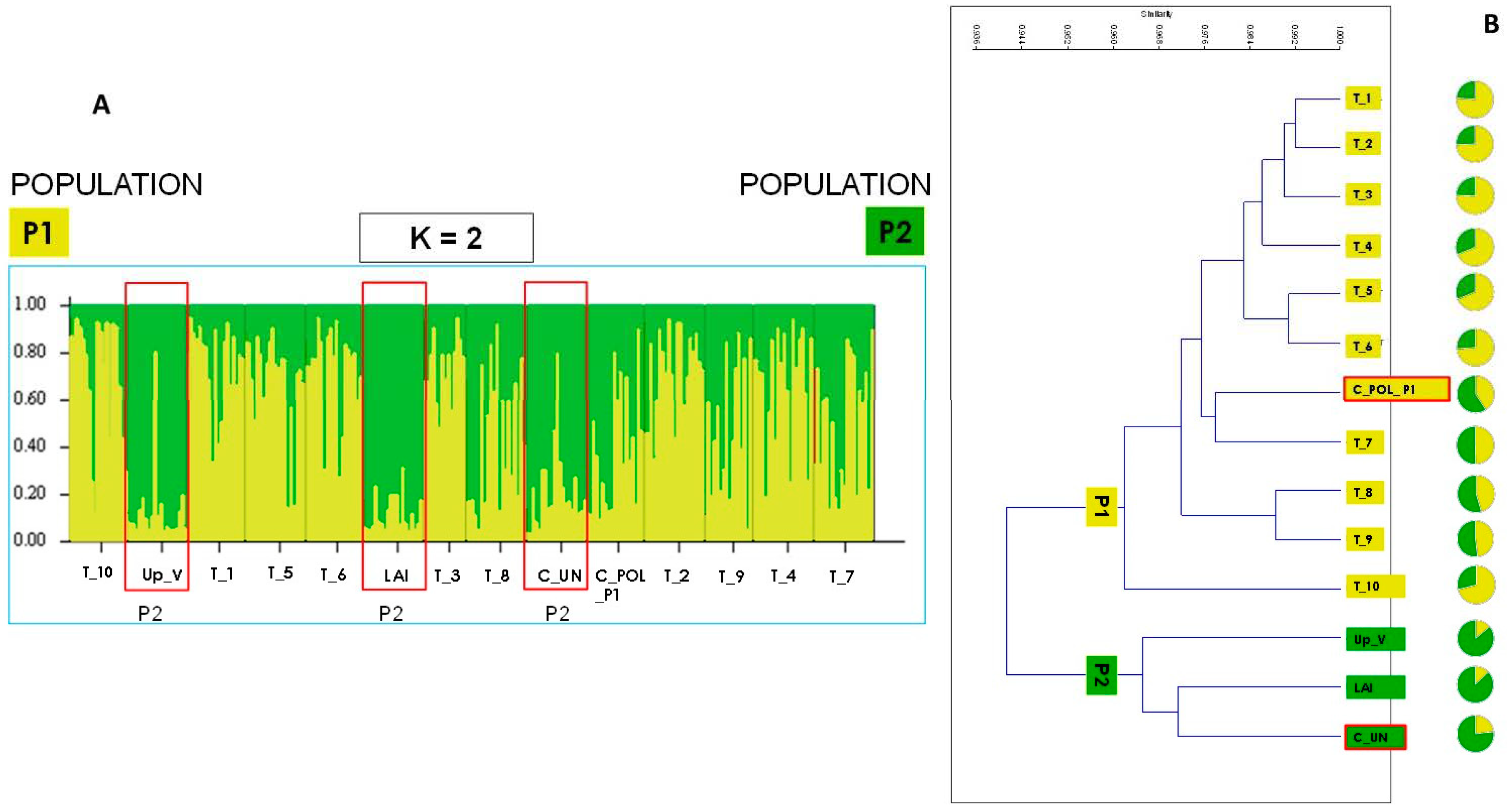 Agronomy 14 01605 g001