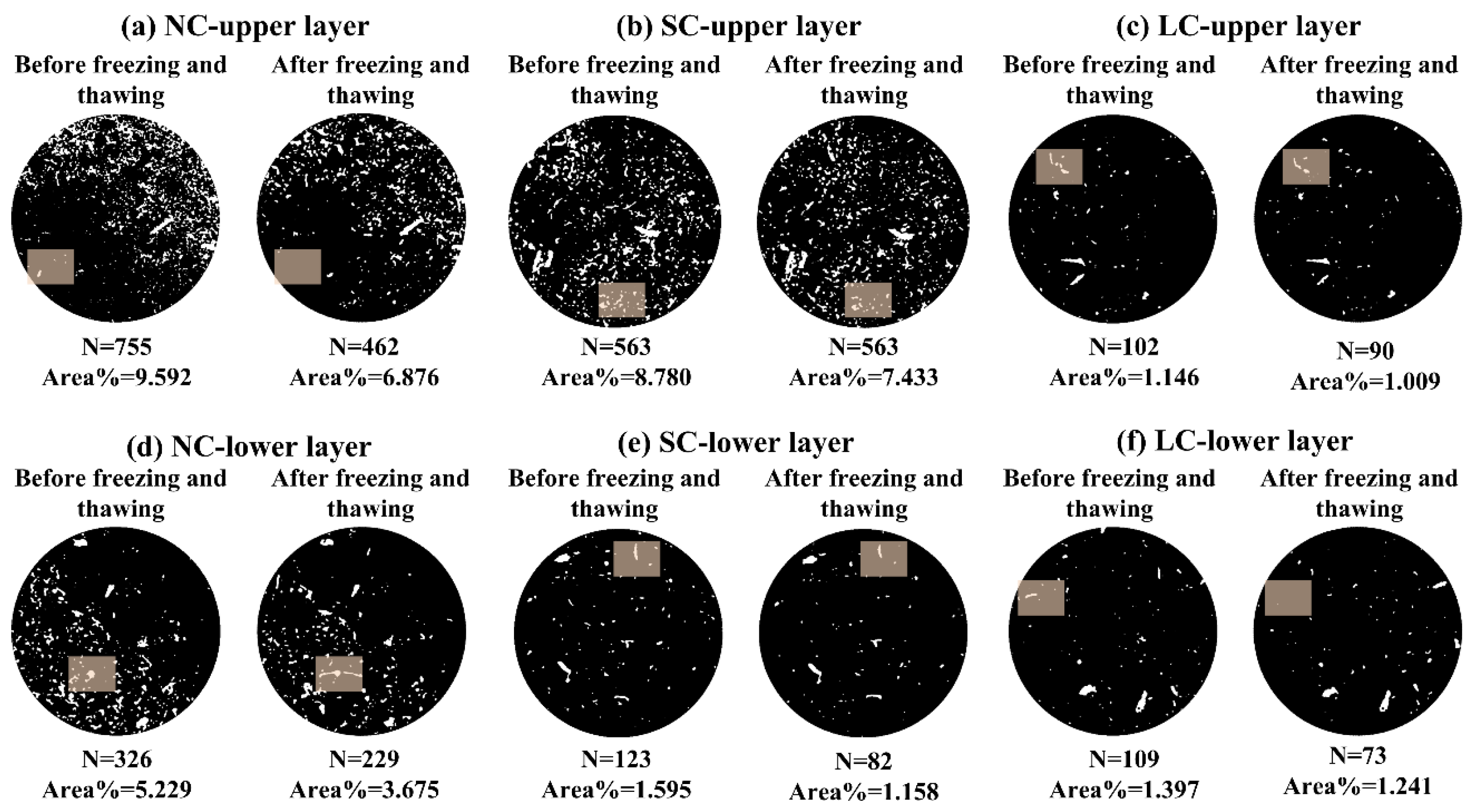 Agronomy 14 01608 g006