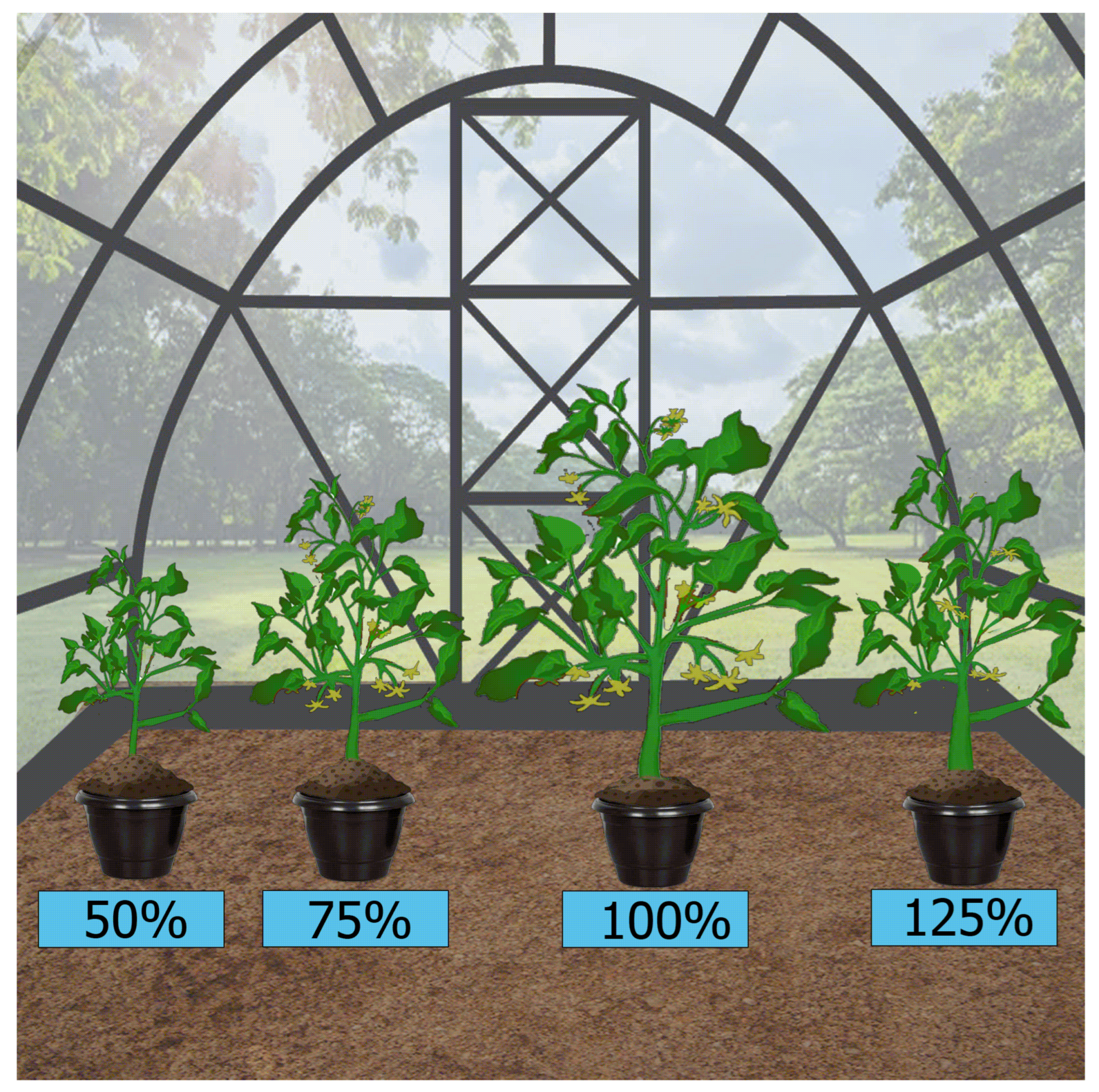 Agronomy 14 01616 g002 Agronomy 14 01616 g002