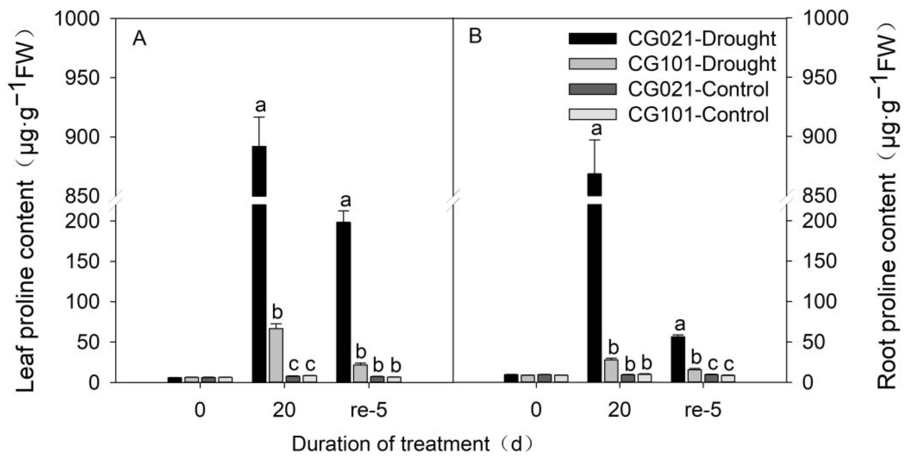 Agronomy 14 01624 g005