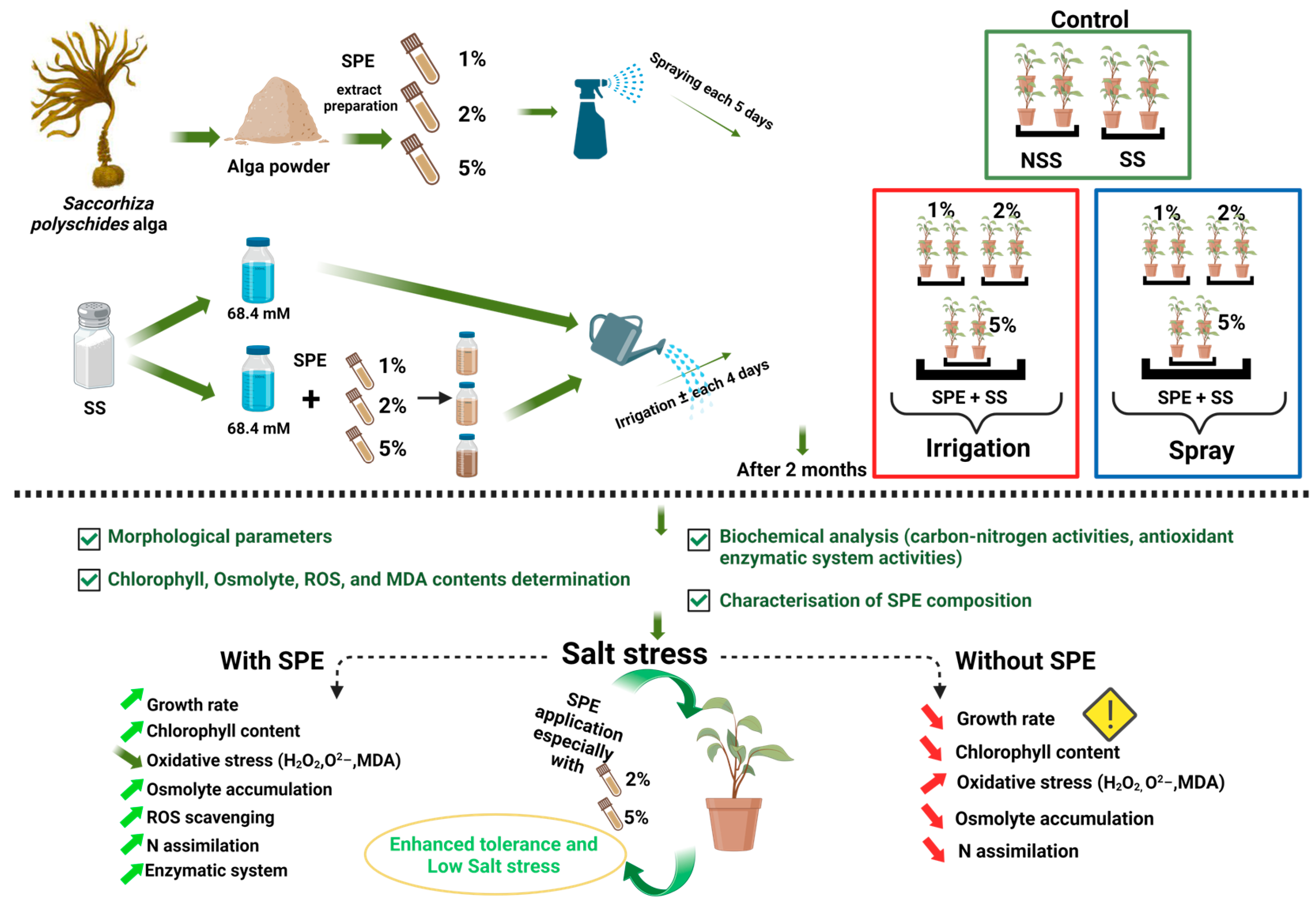 Agronomy 14 01626 g001