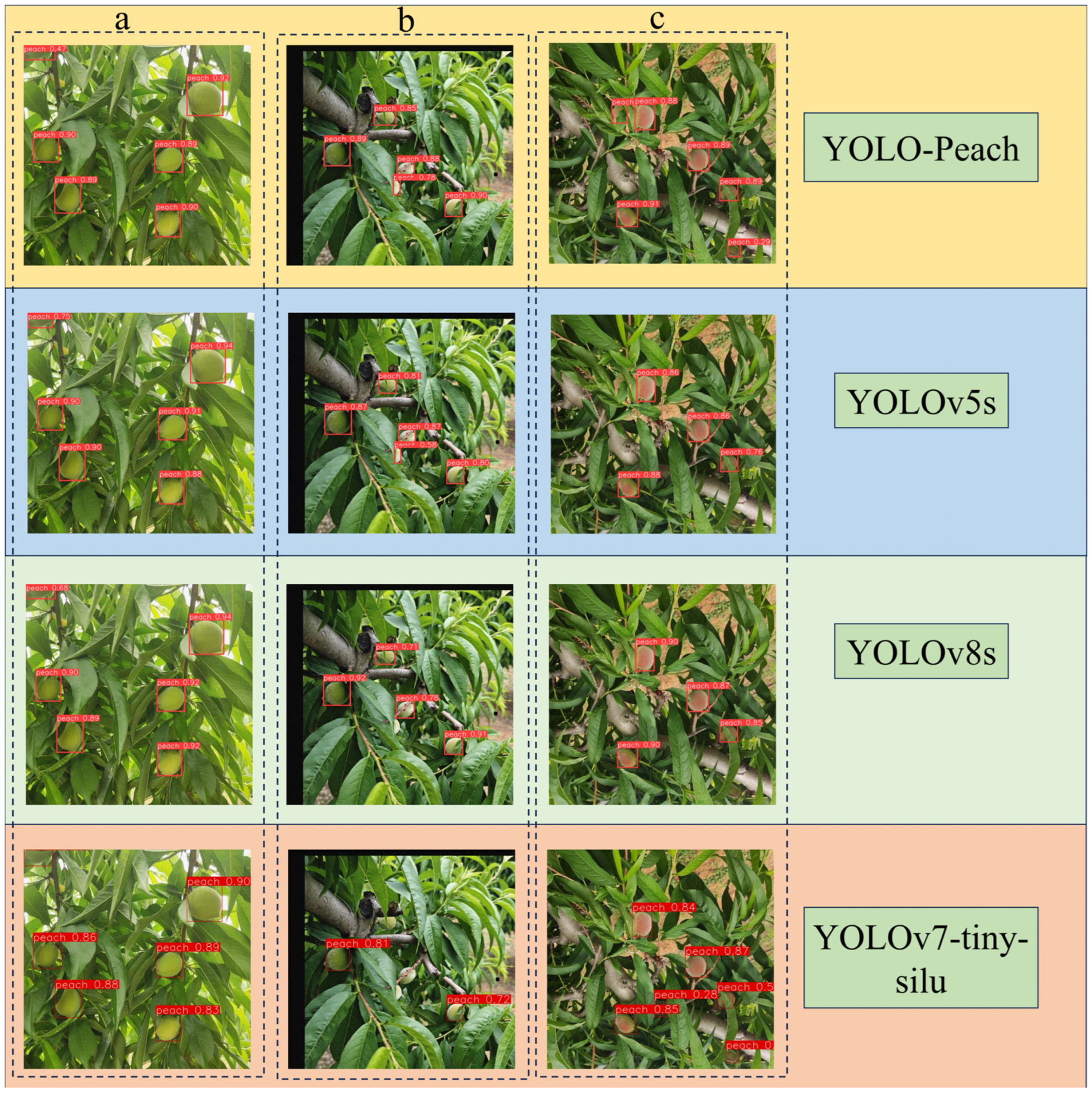 Agronomy 14 01628 g012