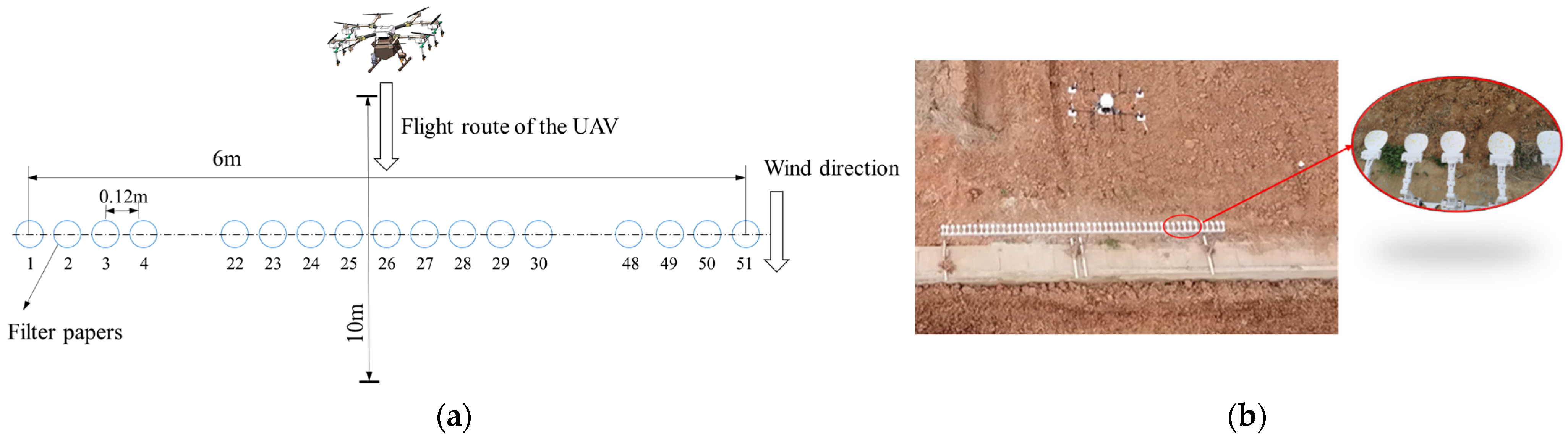 Agronomy 14 01631 g016