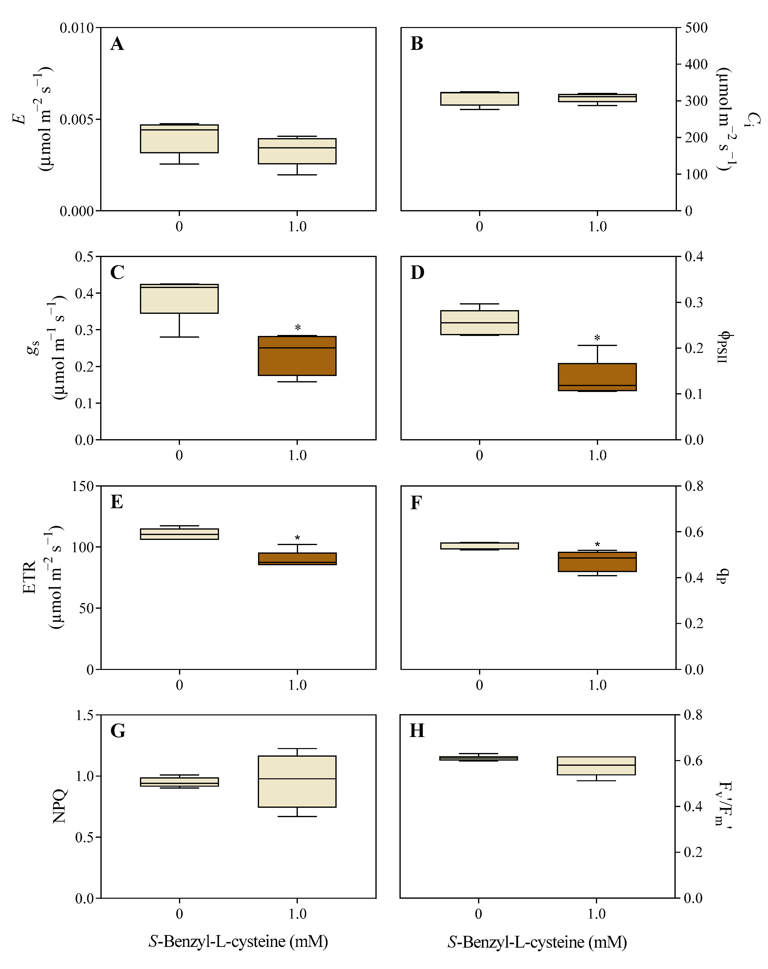 Agronomy 14 01633 g003