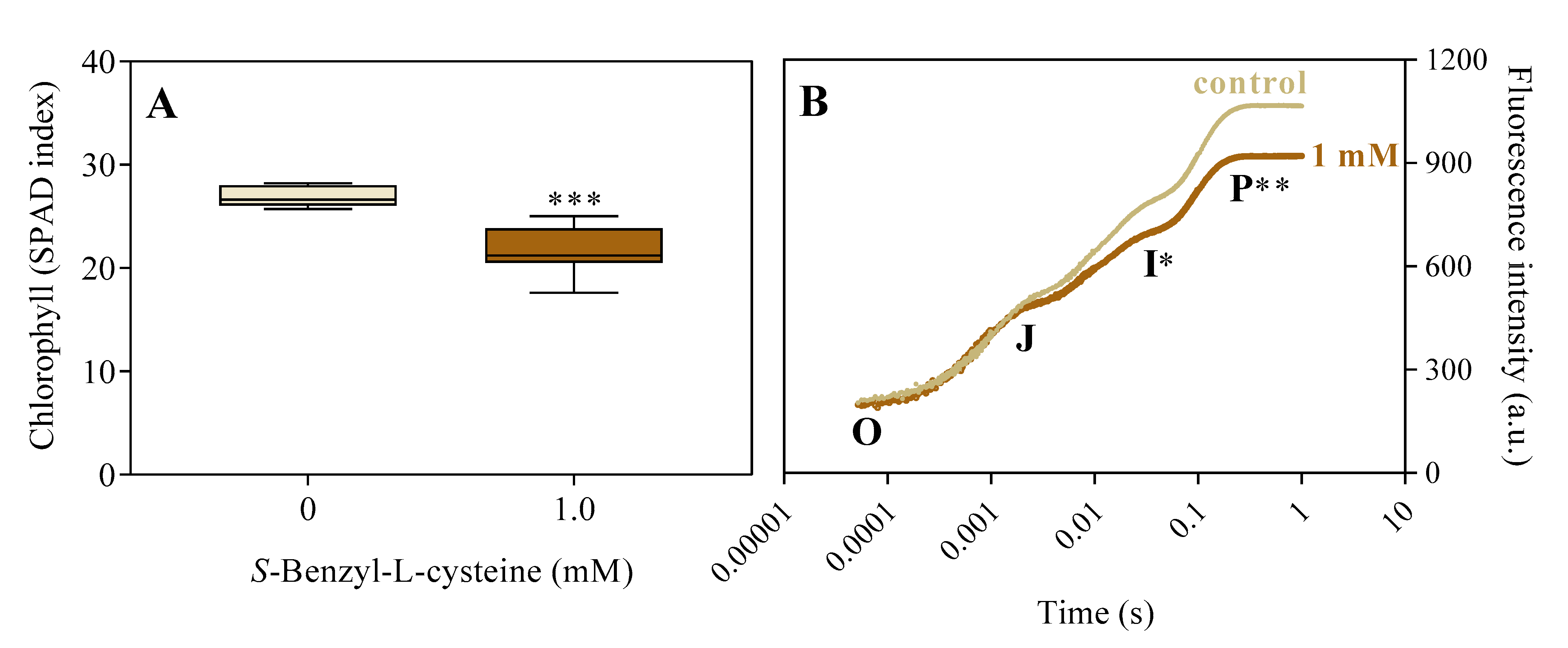 Agronomy 14 01633 g005
