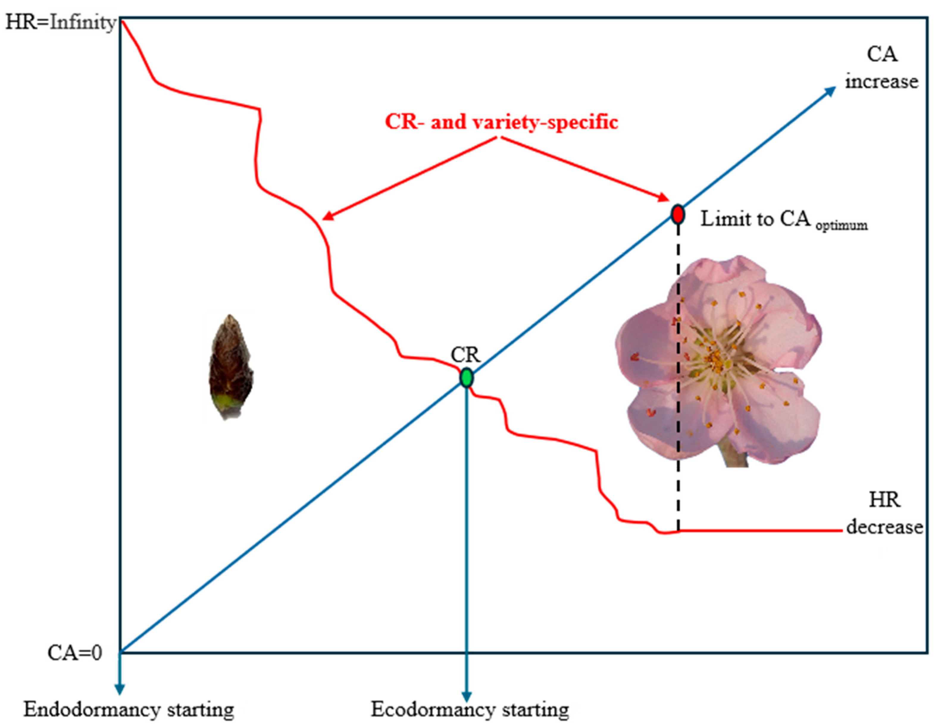 Agronomy 14 01637 g005