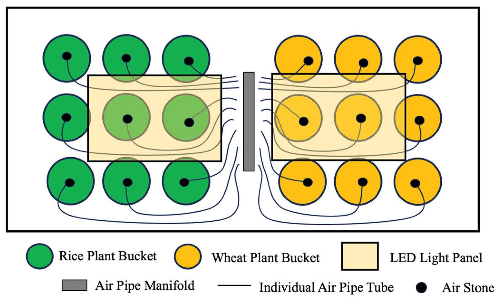 Agronomy 14 01641 g004