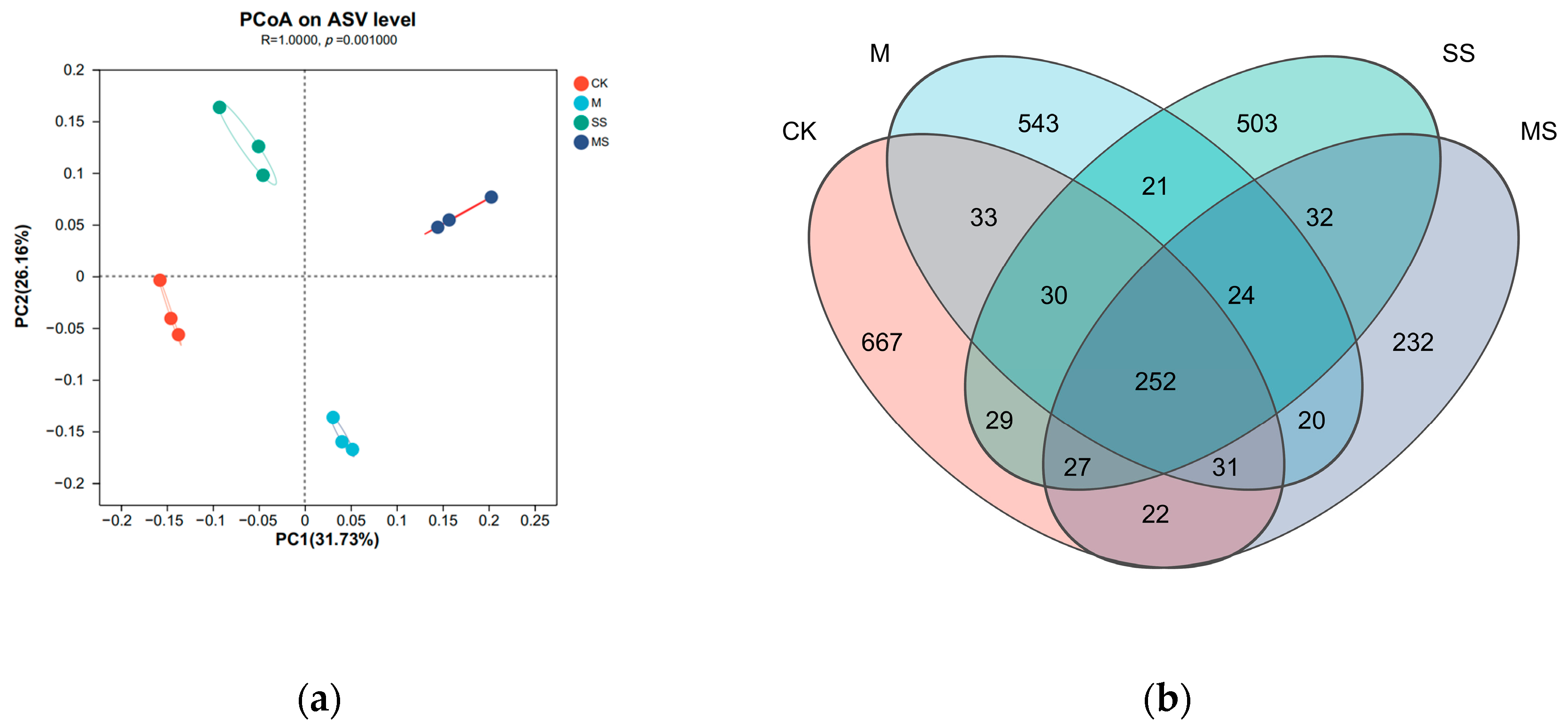 Agronomy 14 01642 g010