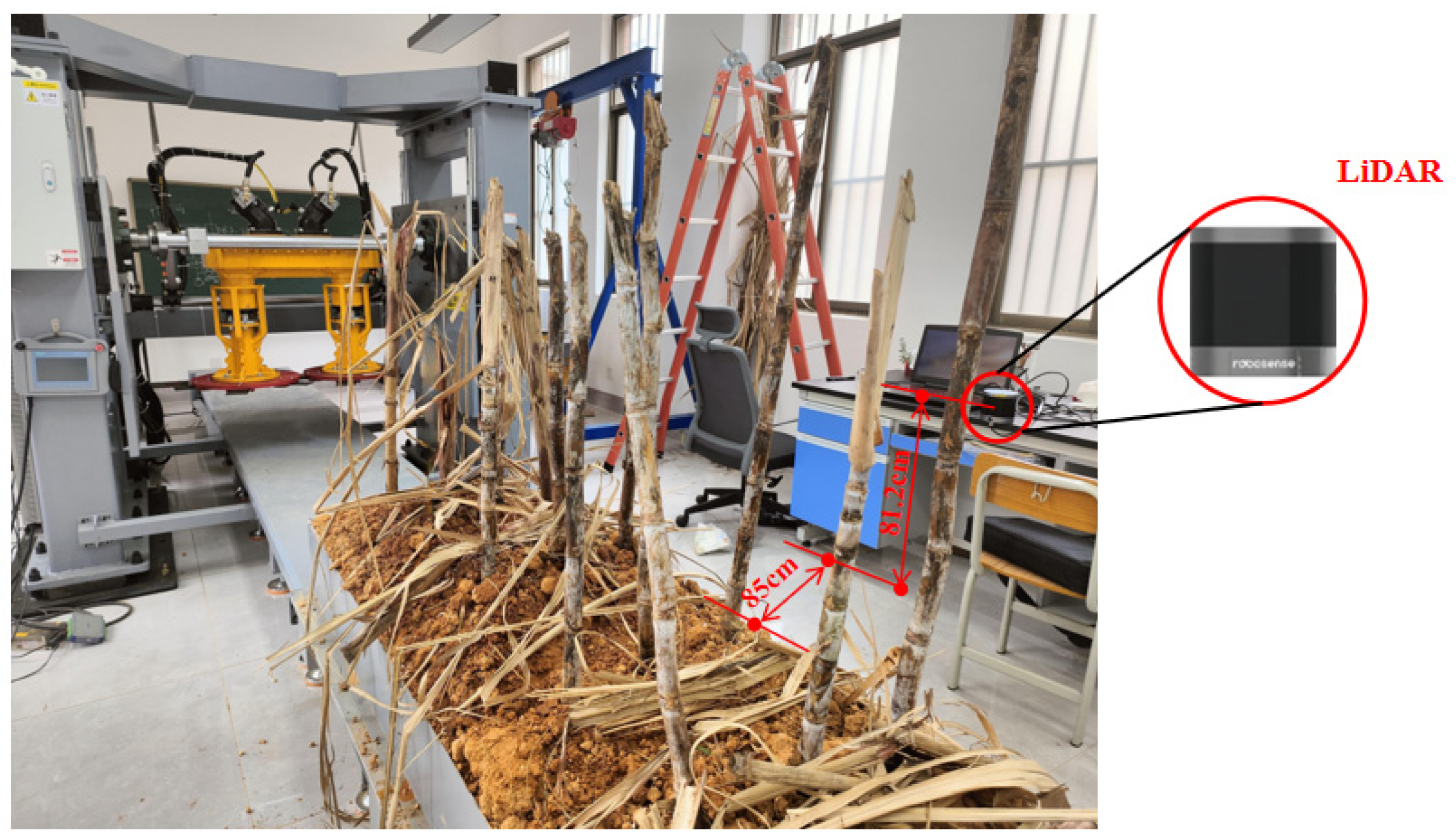 Agronomy 14 01644 g003