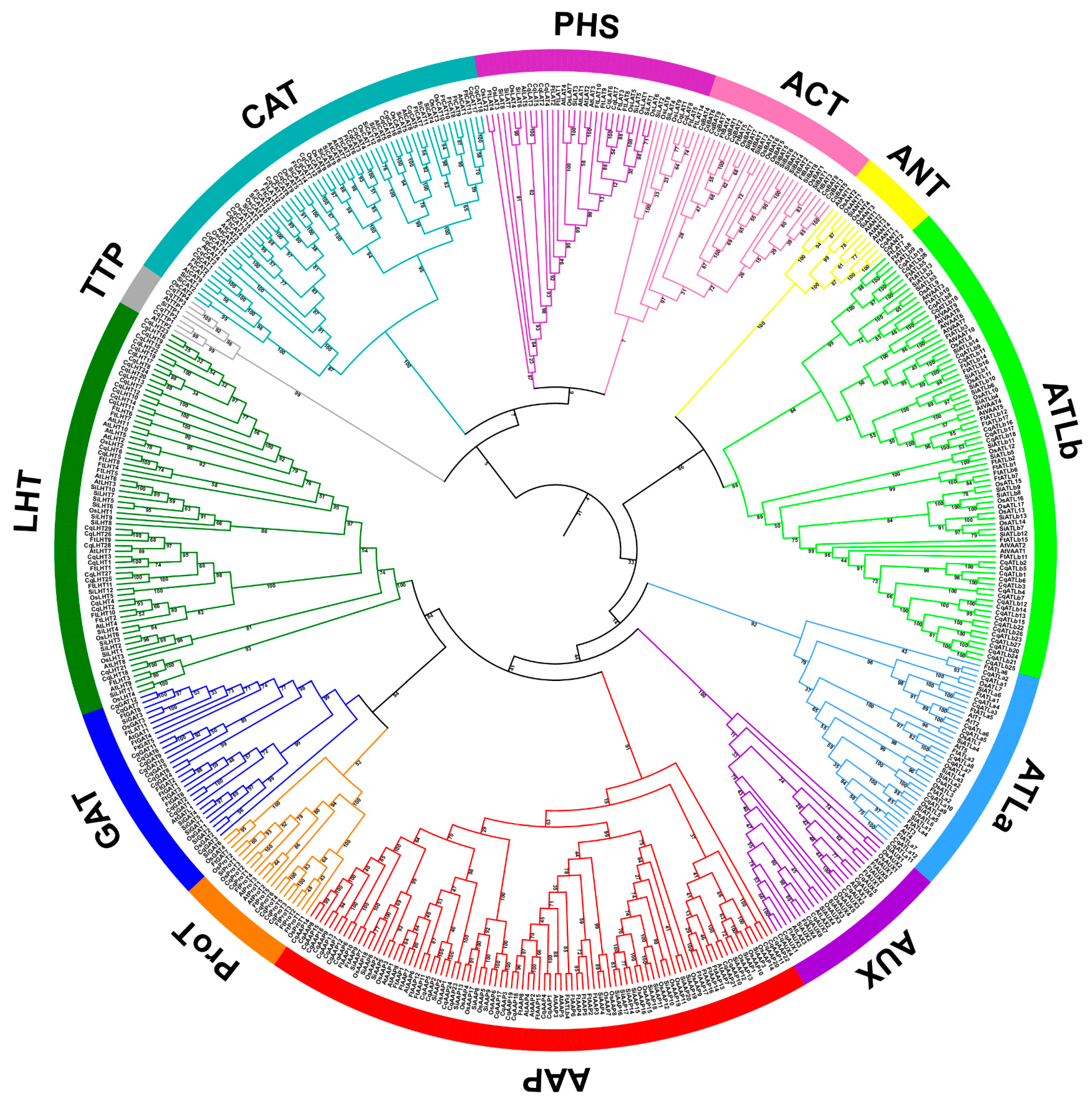 Agronomy 14 01648 g002 Agronomy 14 01648 g002