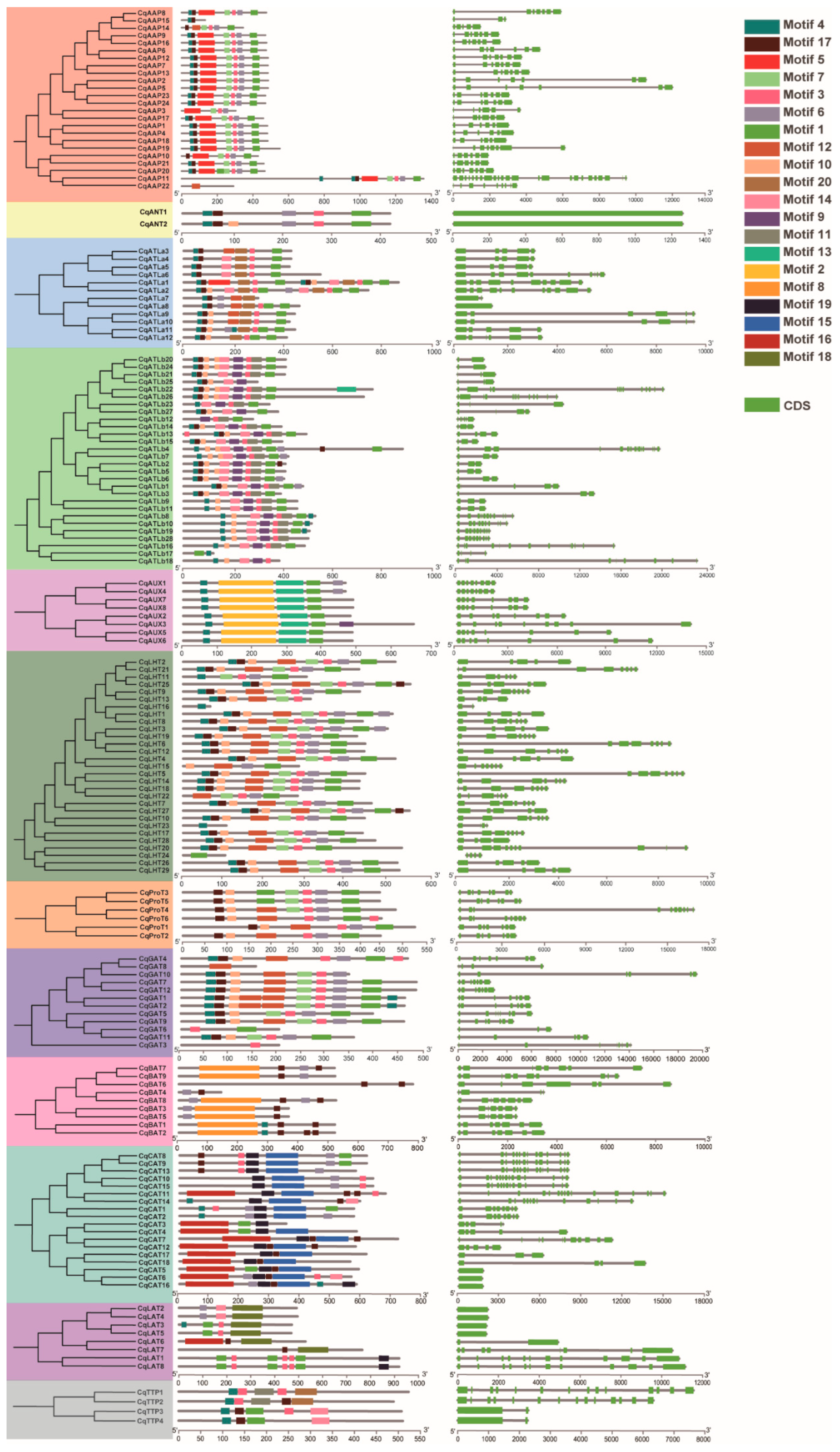 Agronomy 14 01648 g003 Agronomy 14 01648 g003