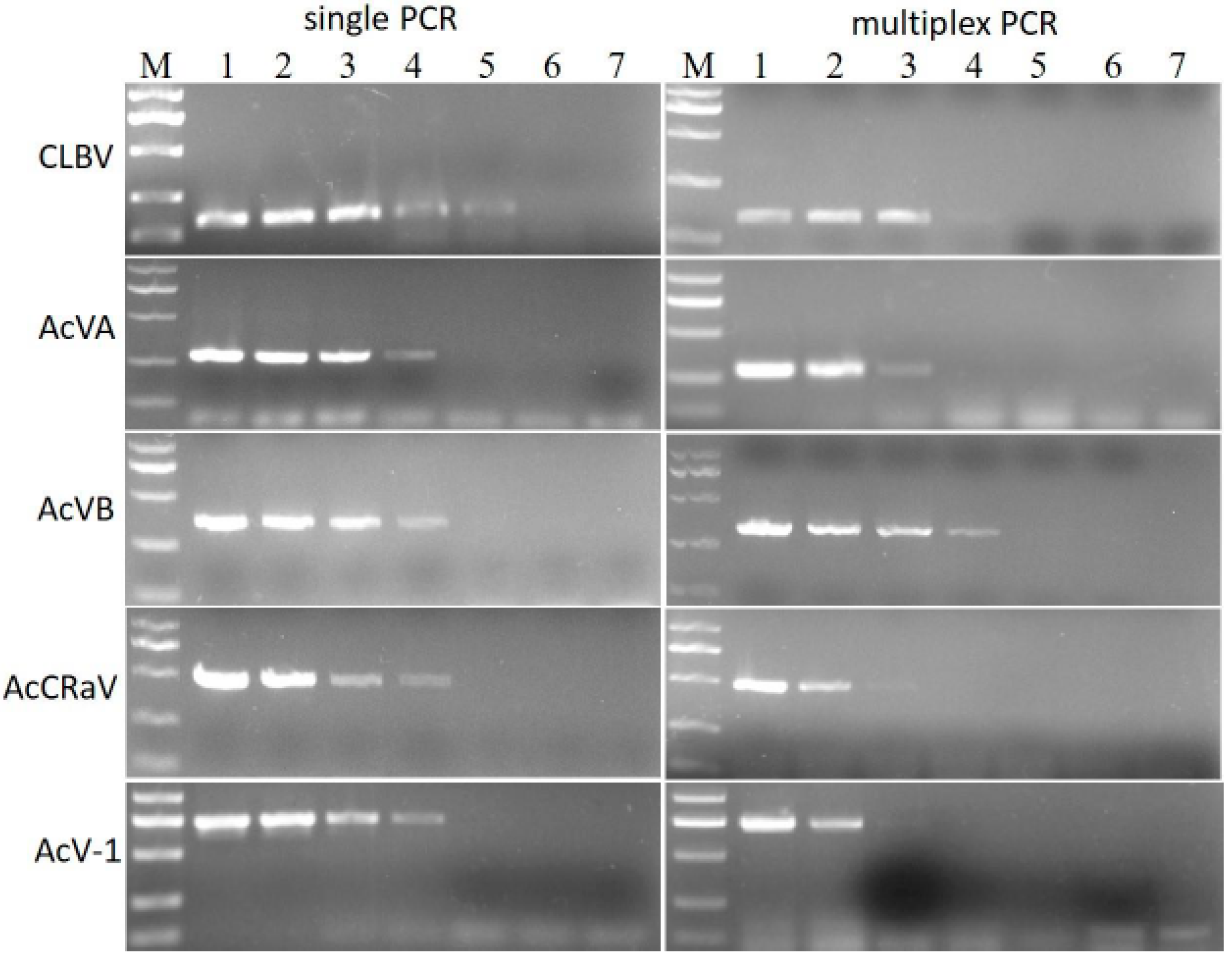 Agronomy 14 01650 g002