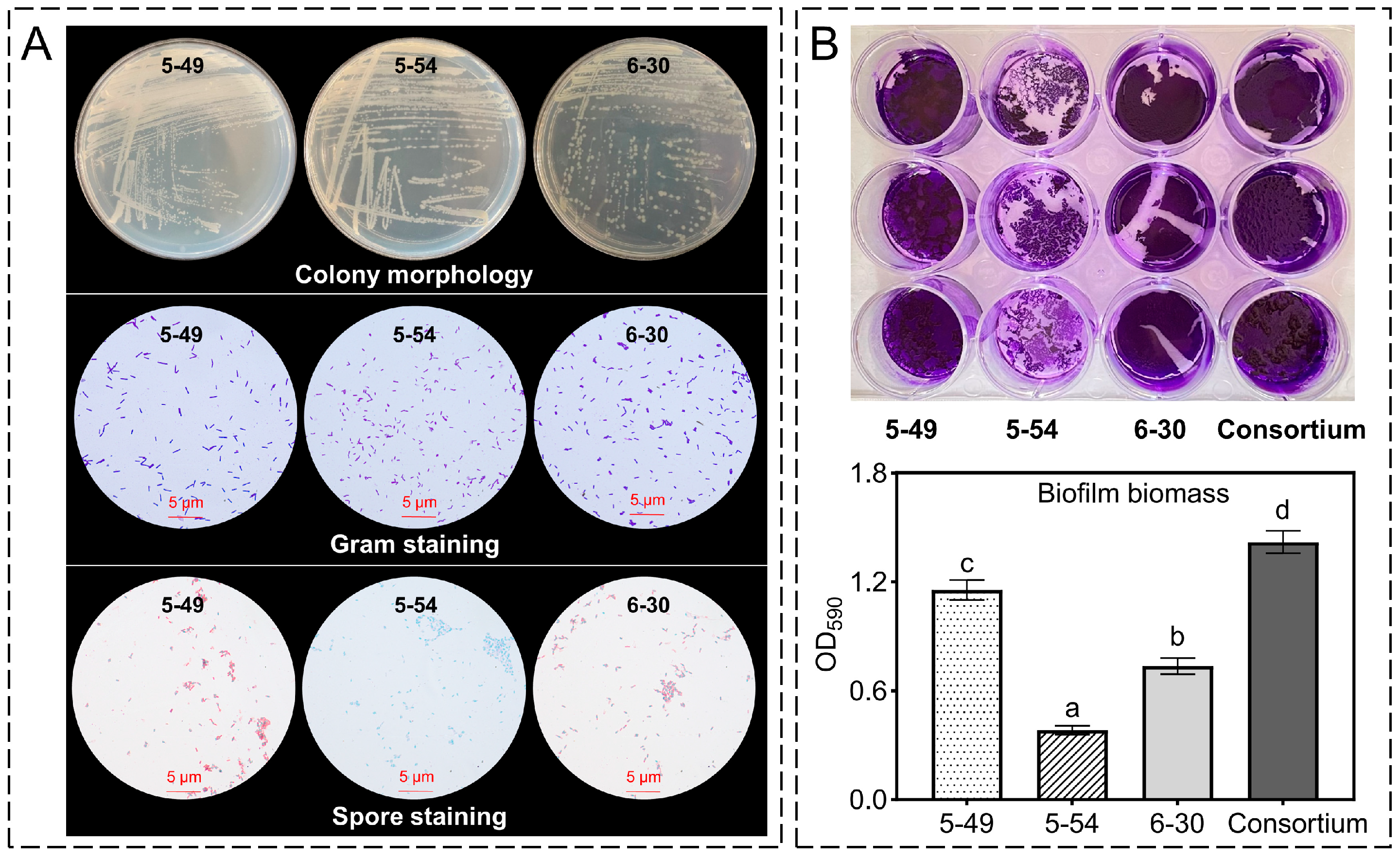 Agronomy 14 01657 g002