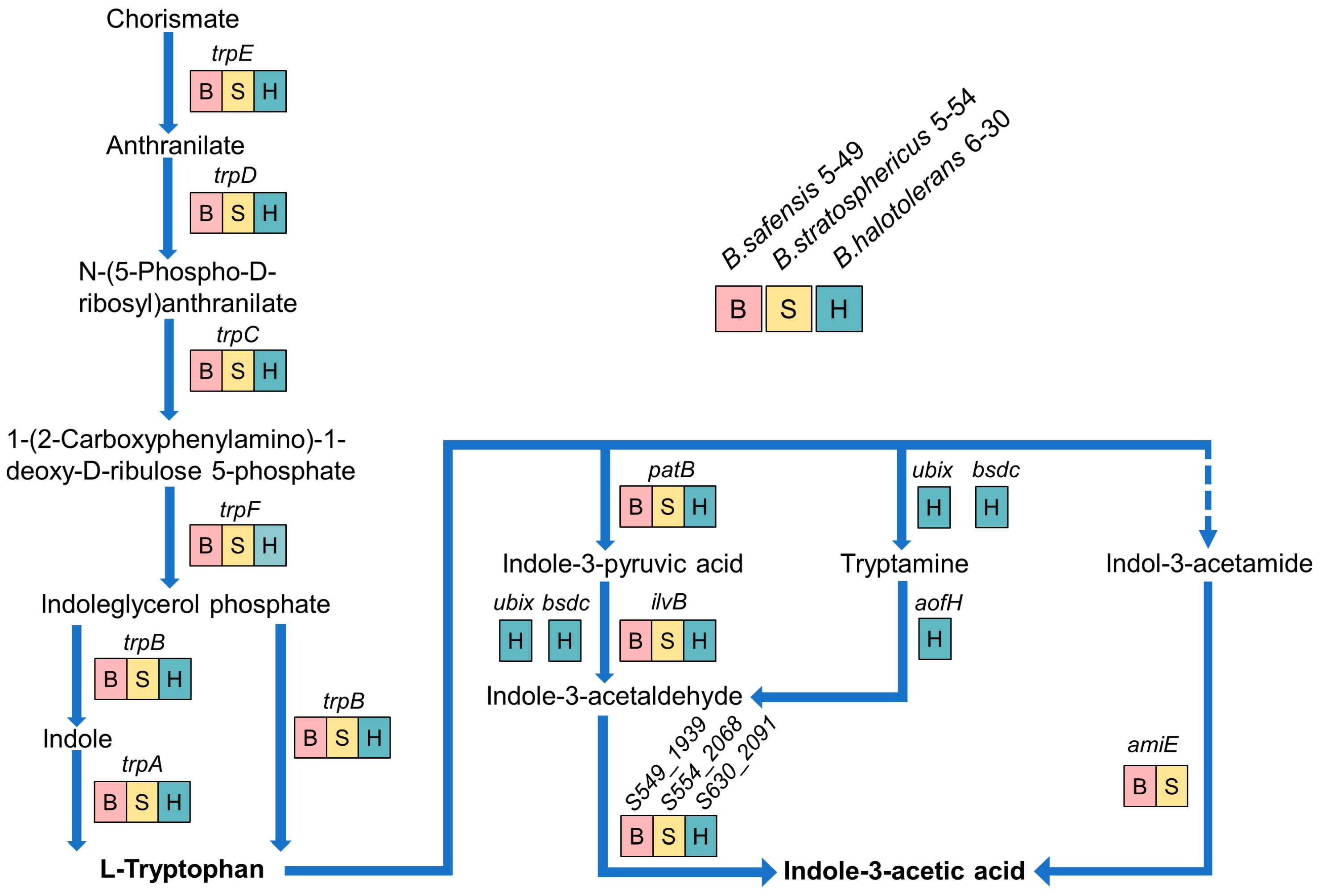 Agronomy 14 01657 g003