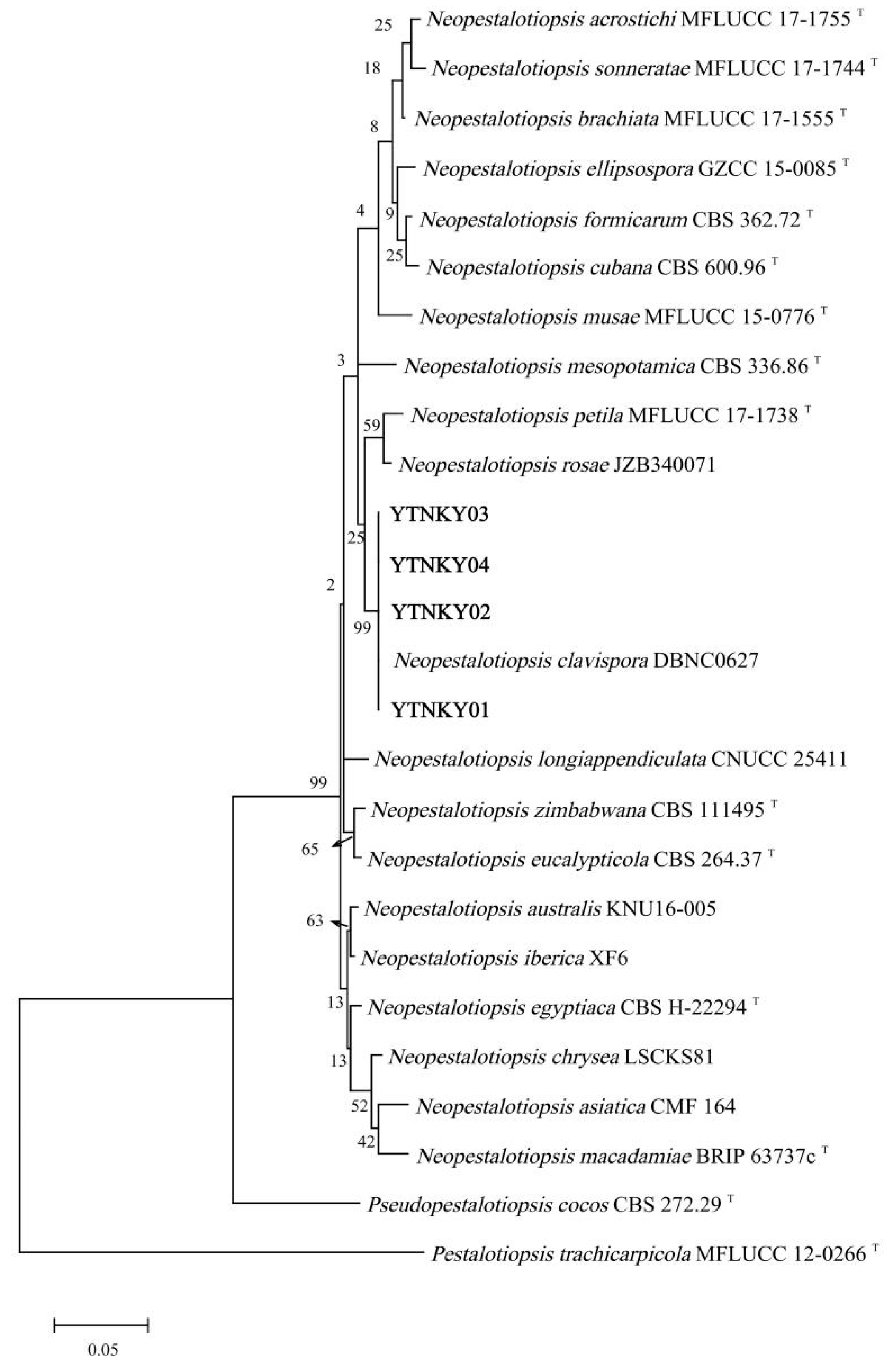 Agronomy 14 01658 g003