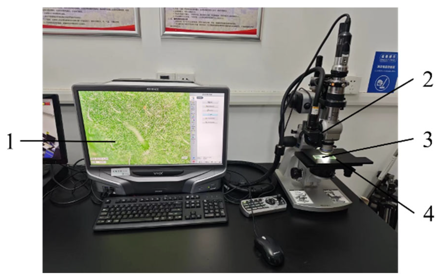 Agronomy 14 01661 g002