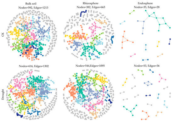 Drought Stress Increases the Complexity of the Bacterial Network in the ...