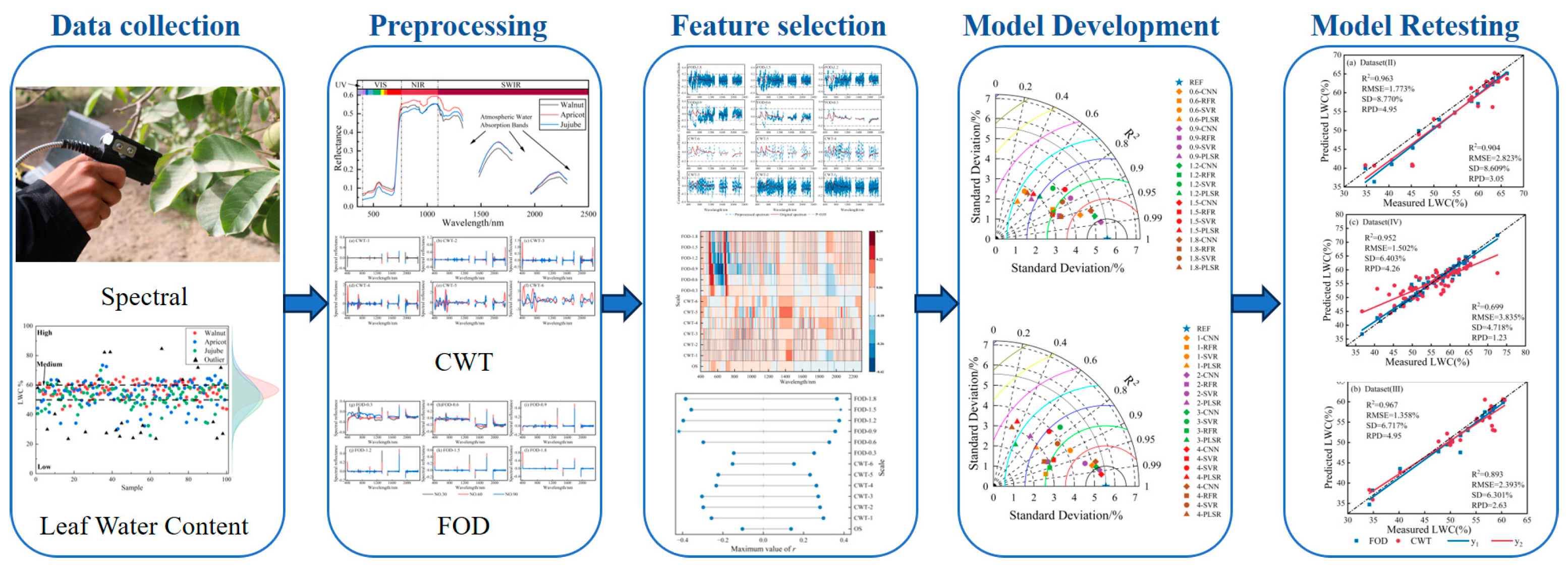 Agronomy 14 01664 g004