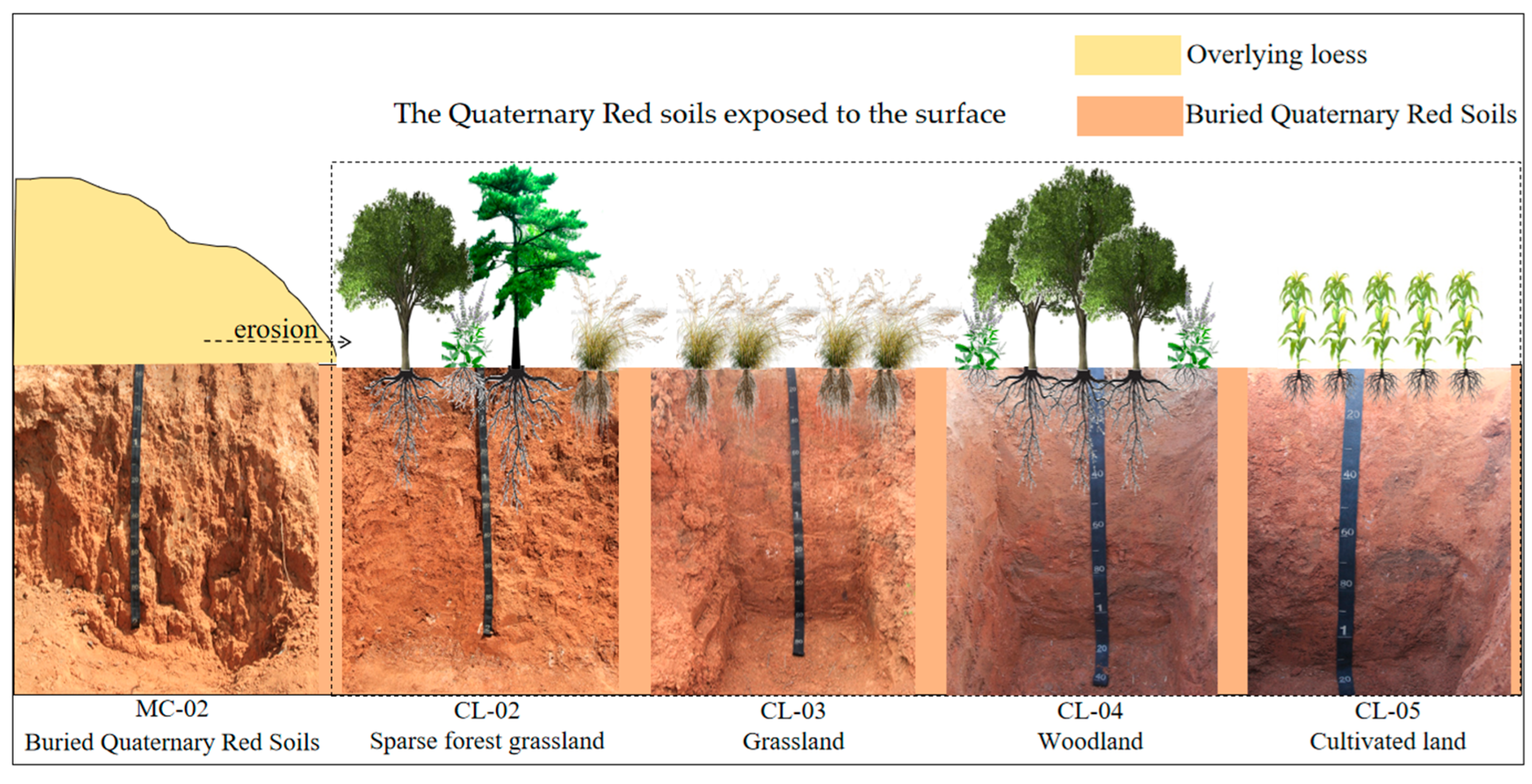 Agronomy 14 01669 g002