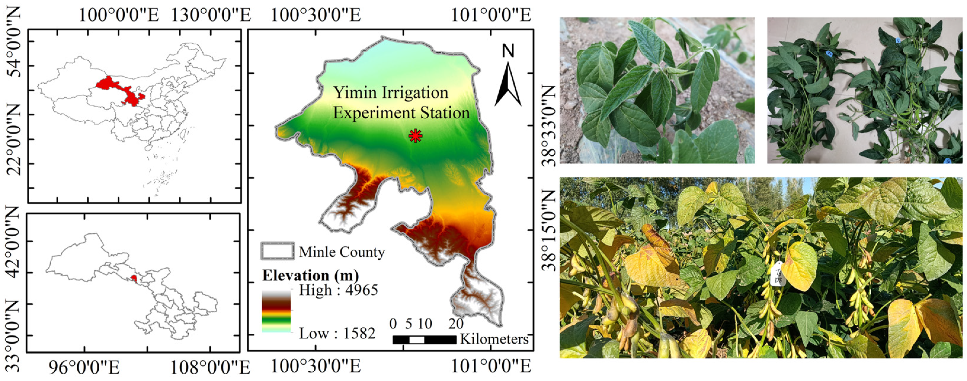 Agronomy 14 01674 g001