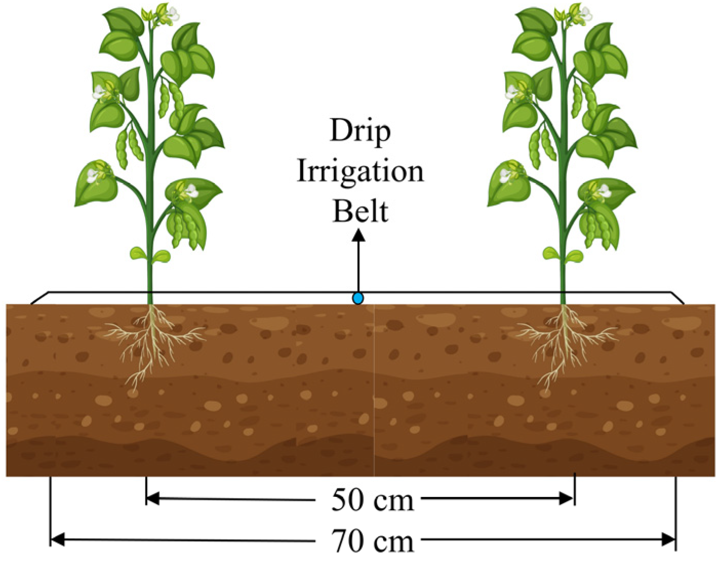 Agronomy 14 01674 g003