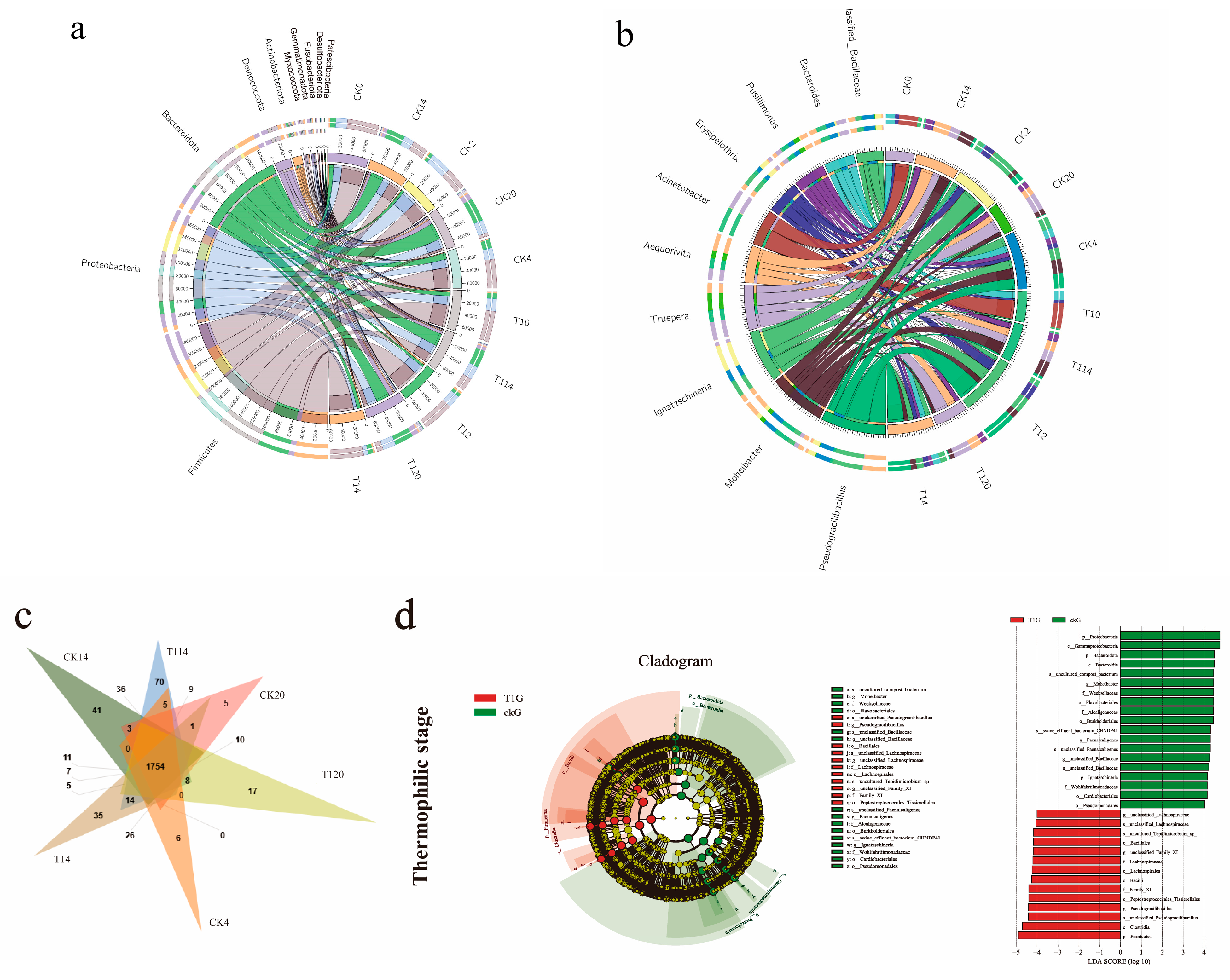 Agronomy 14 01675 g004