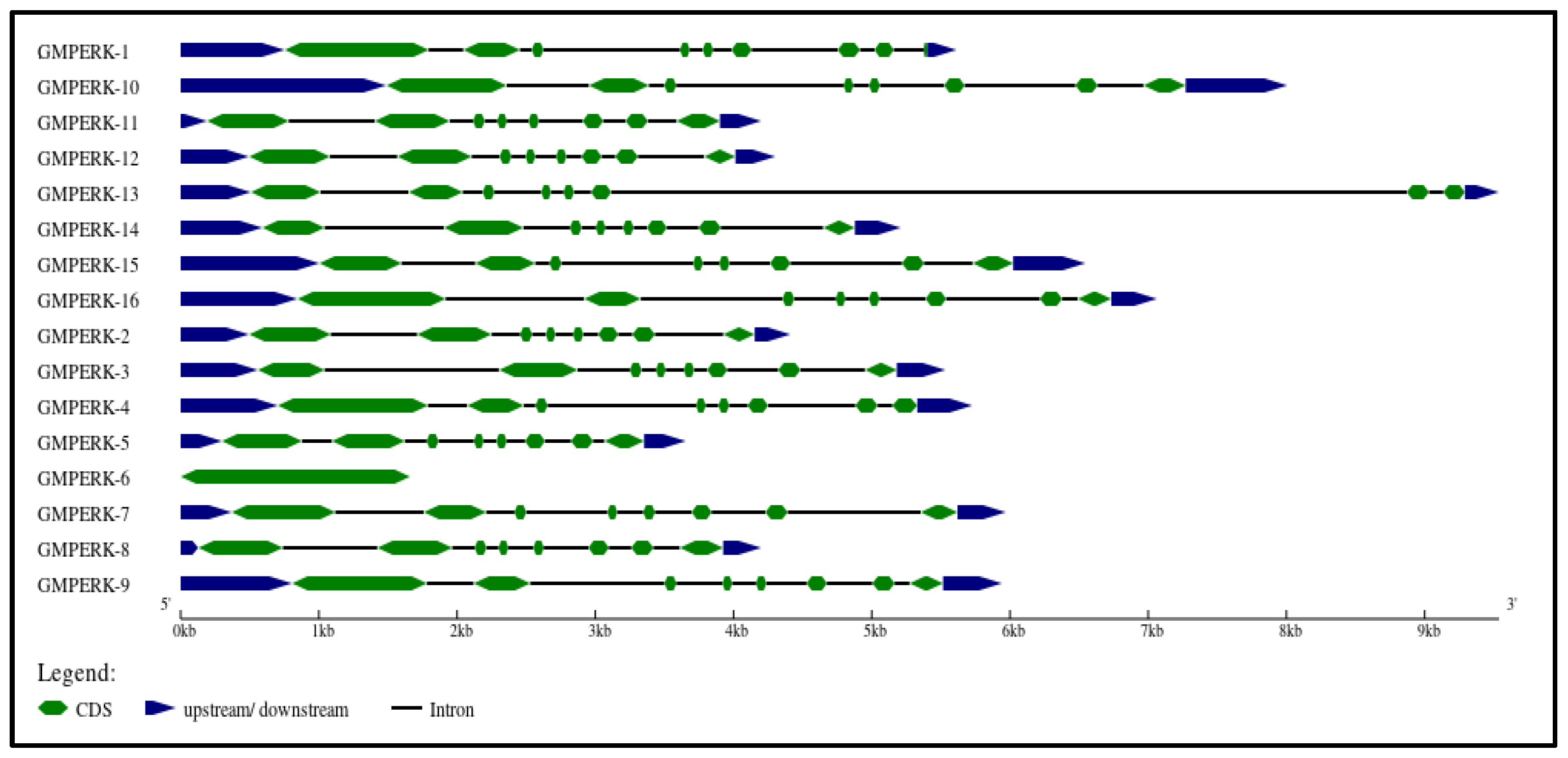 Agronomy 14 01679 g002