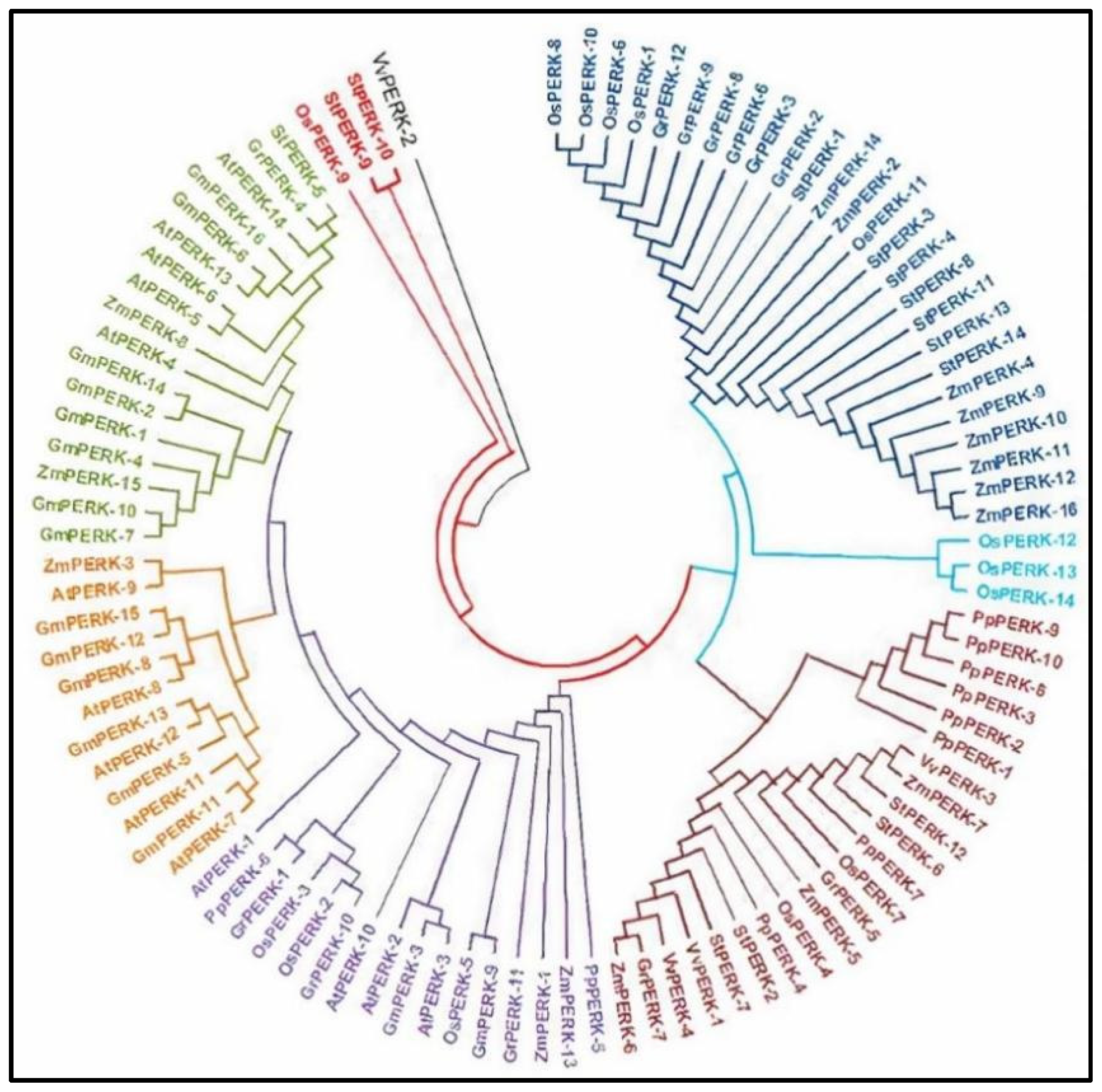 Agronomy 14 01679 g005