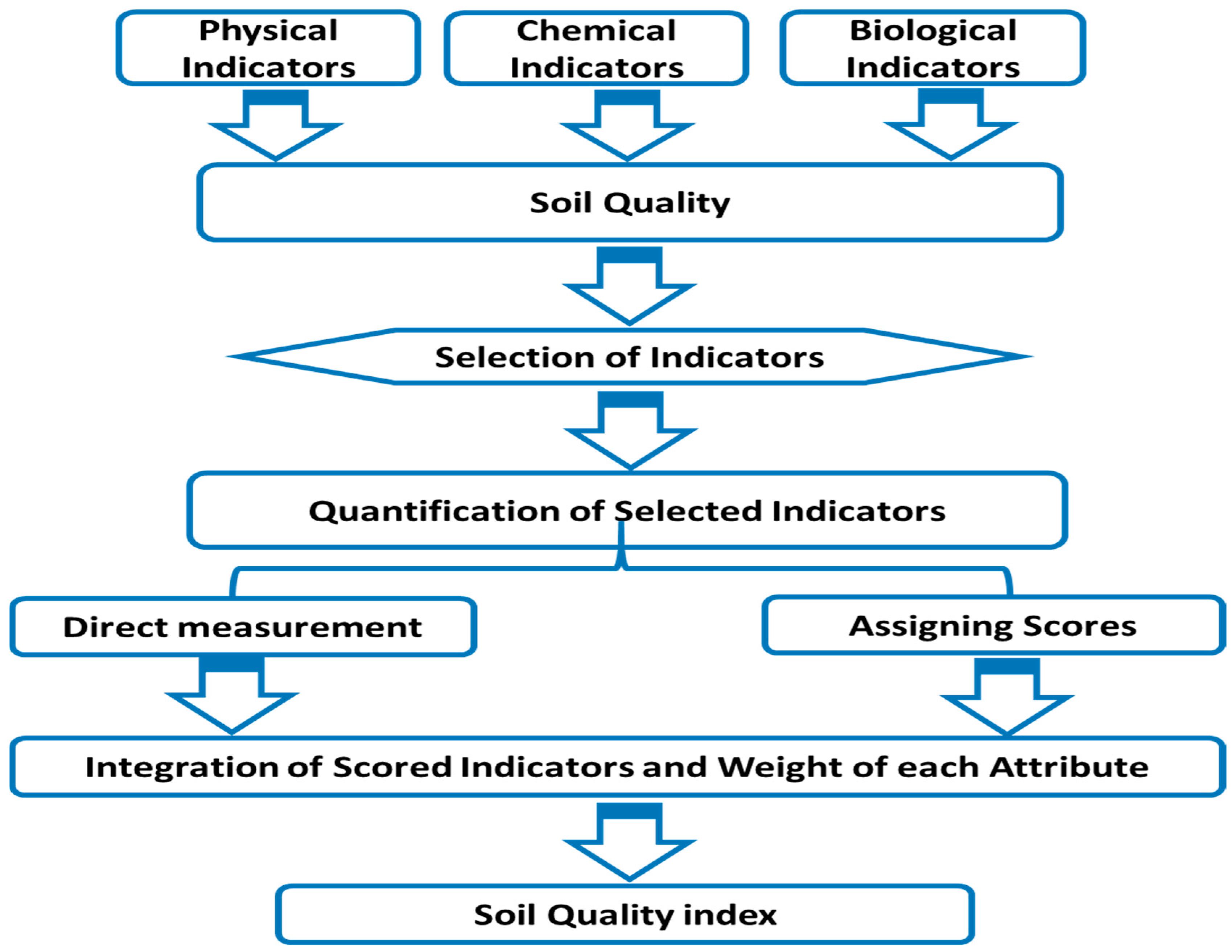 Agronomy 14 01682 g003 Agronomy 14 01682 g003